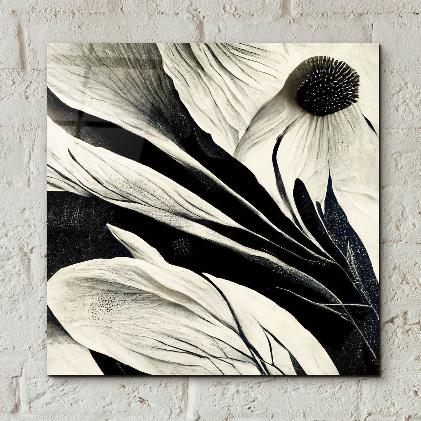 Epic Art 'Flowers Black White 7' by Ray Heere, Acrylic Glass Wall Art,12x12