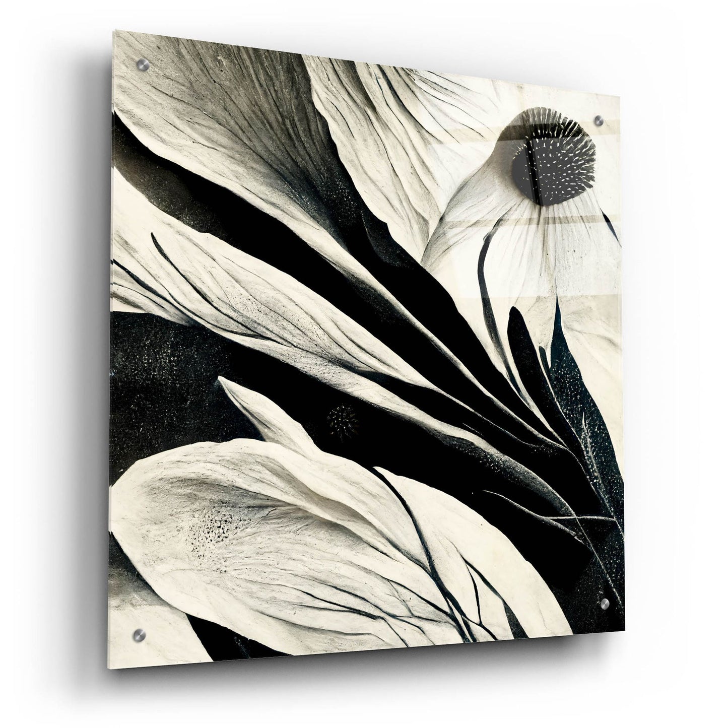 Epic Art 'Flowers Black White 7' by Ray Heere, Acrylic Glass Wall Art,24x24