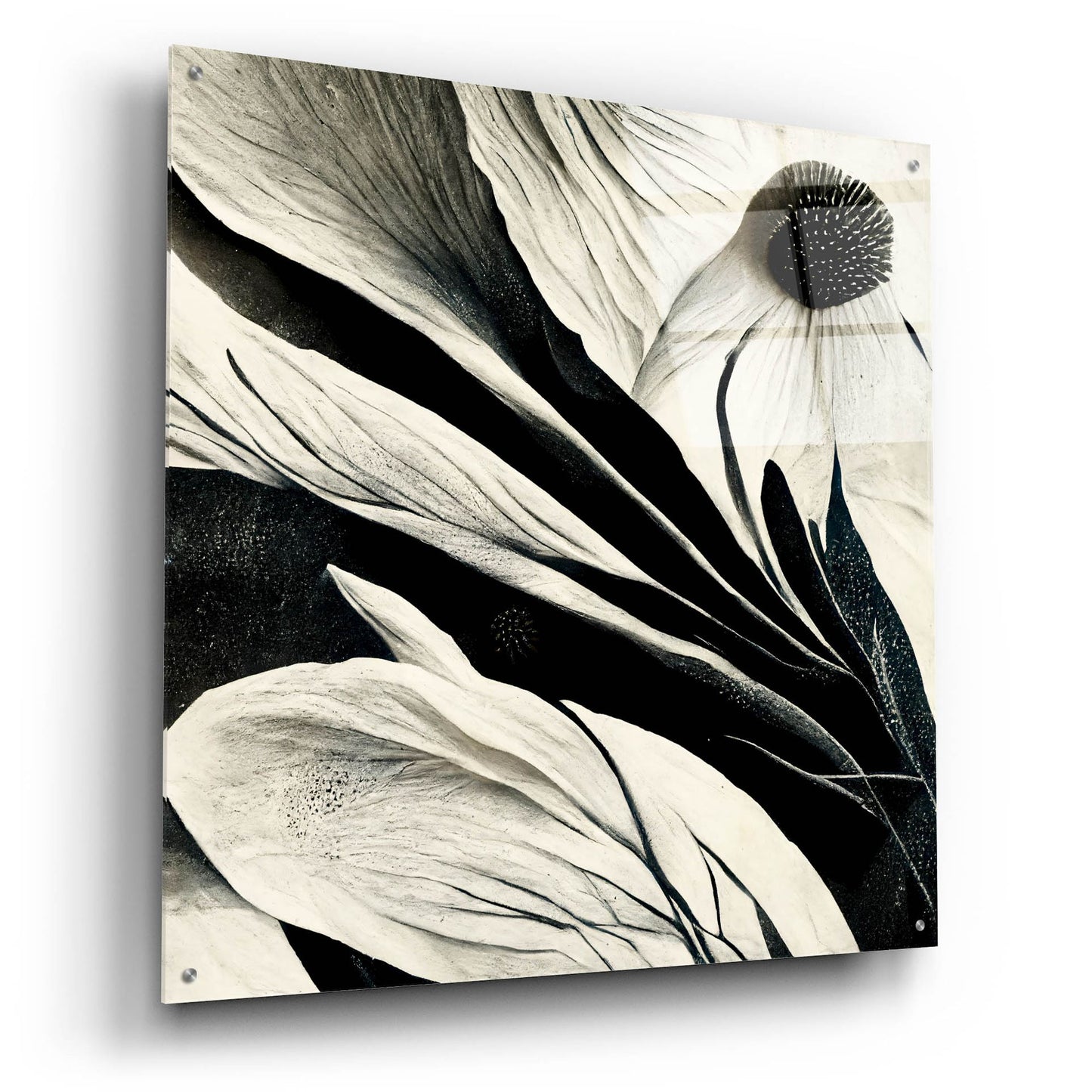 Epic Art 'Flowers Black White 7' by Ray Heere, Acrylic Glass Wall Art,36x36