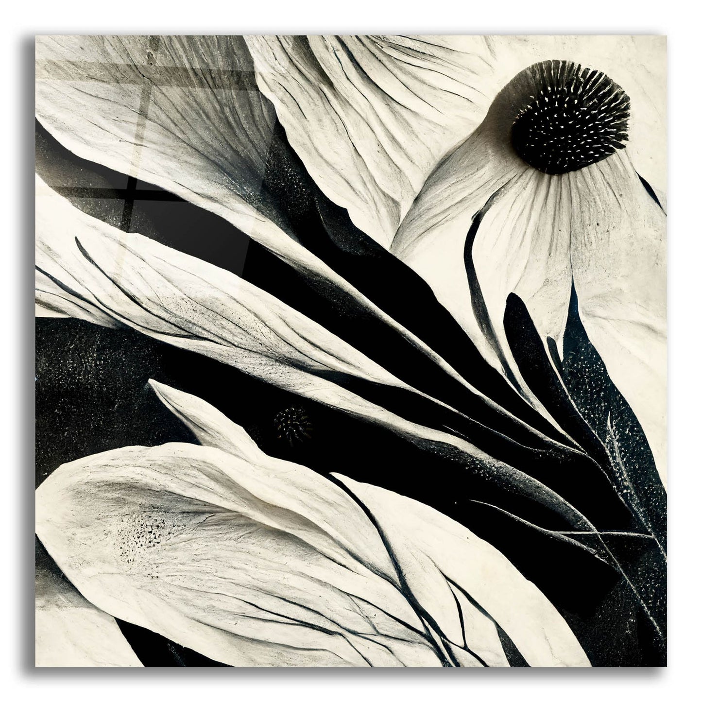 Epic Art 'Flowers Black White 7' by Ray Heere, Acrylic Glass Wall Art