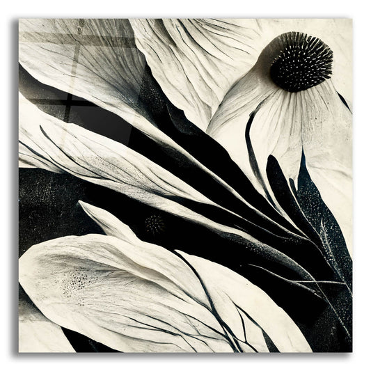 Epic Art 'Flowers Black White 7' by Ray Heere, Acrylic Glass Wall Art