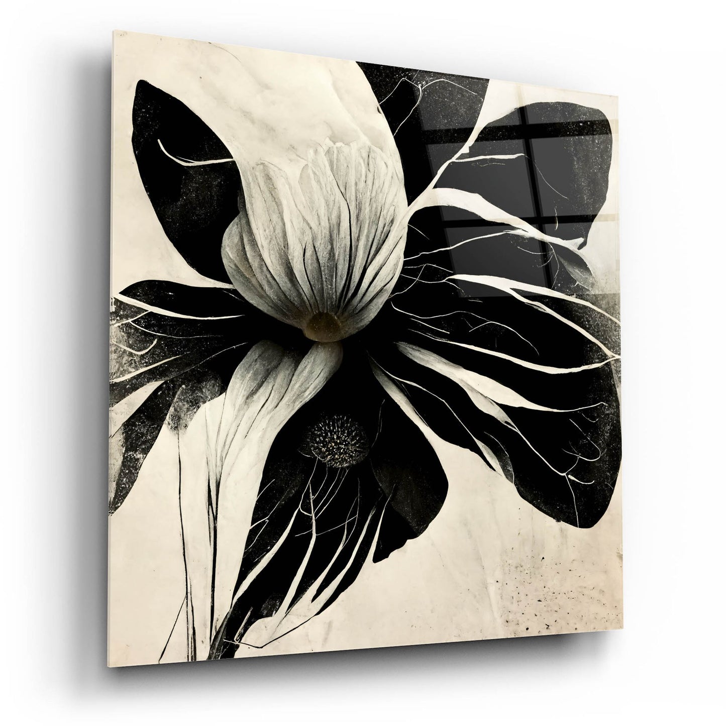 Epic Art 'Flowers Black White 8' by Ray Heere, Acrylic Glass Wall Art,12x12