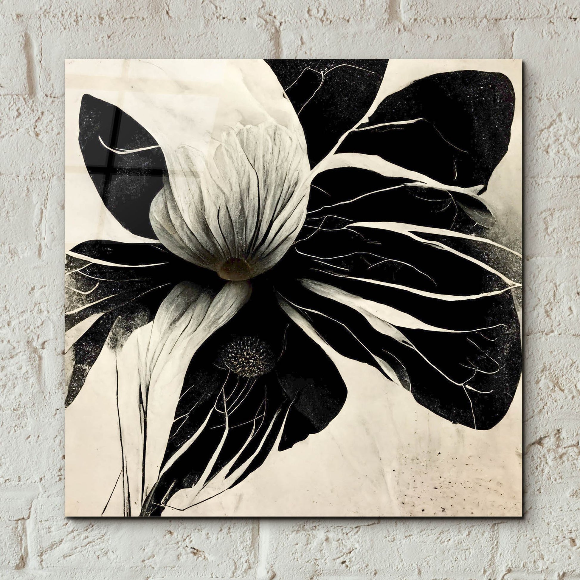 Epic Art 'Flowers Black White 8' by Ray Heere, Acrylic Glass Wall Art,12x12