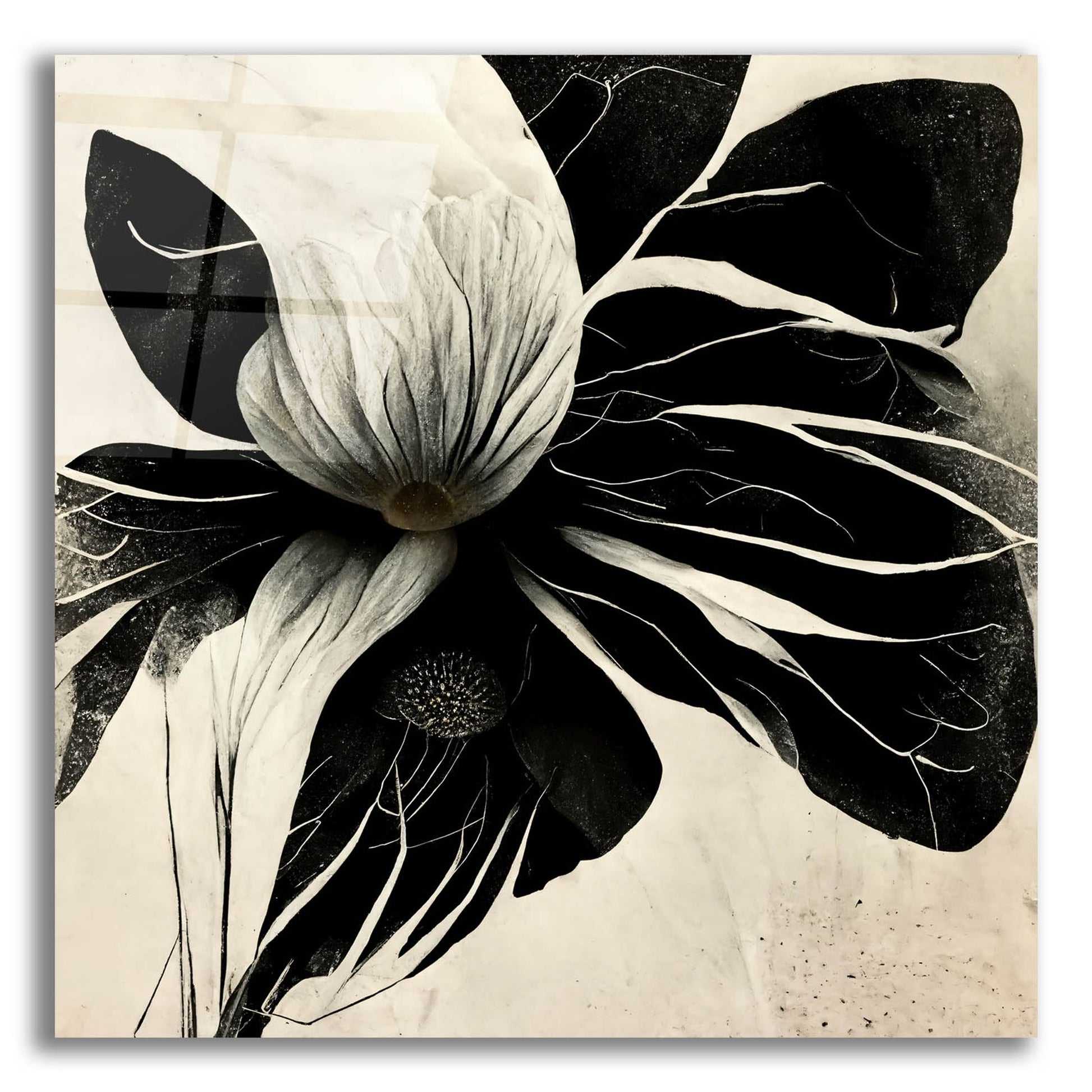 Epic Art 'Flowers Black White 8' by Ray Heere, Acrylic Glass Wall Art,12x12