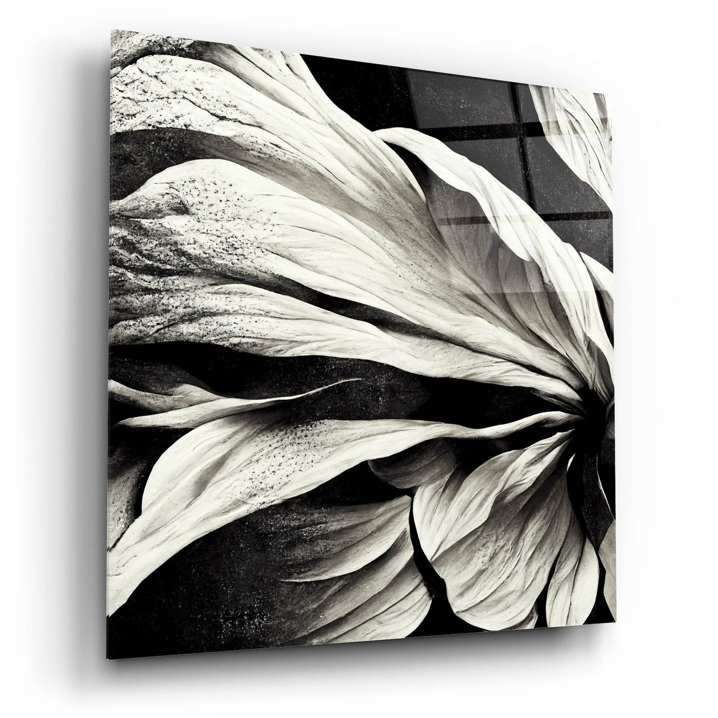 Epic Art 'Flowers Black White 9' by Ray Heere, Acrylic Glass Wall Art,12x12