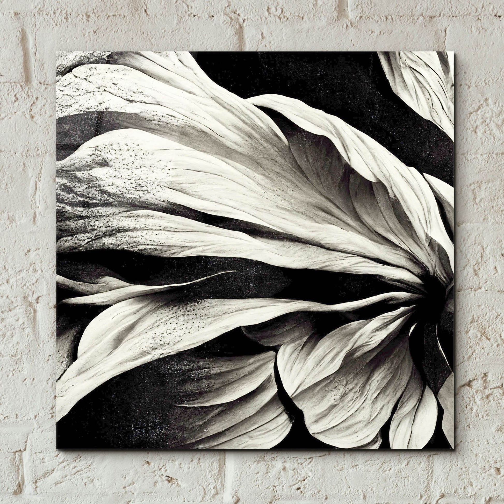 Epic Art 'Flowers Black White 9' by Ray Heere, Acrylic Glass Wall Art,12x12