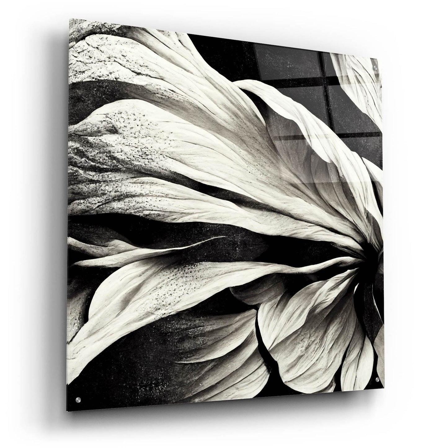 Epic Art 'Flowers Black White 9' by Ray Heere, Acrylic Glass Wall Art,36x36