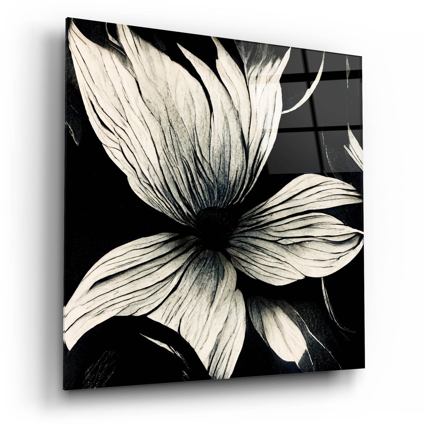 Epic Art 'Flowers Black White 10' by Ray Heere, Acrylic Glass Wall Art,12x12