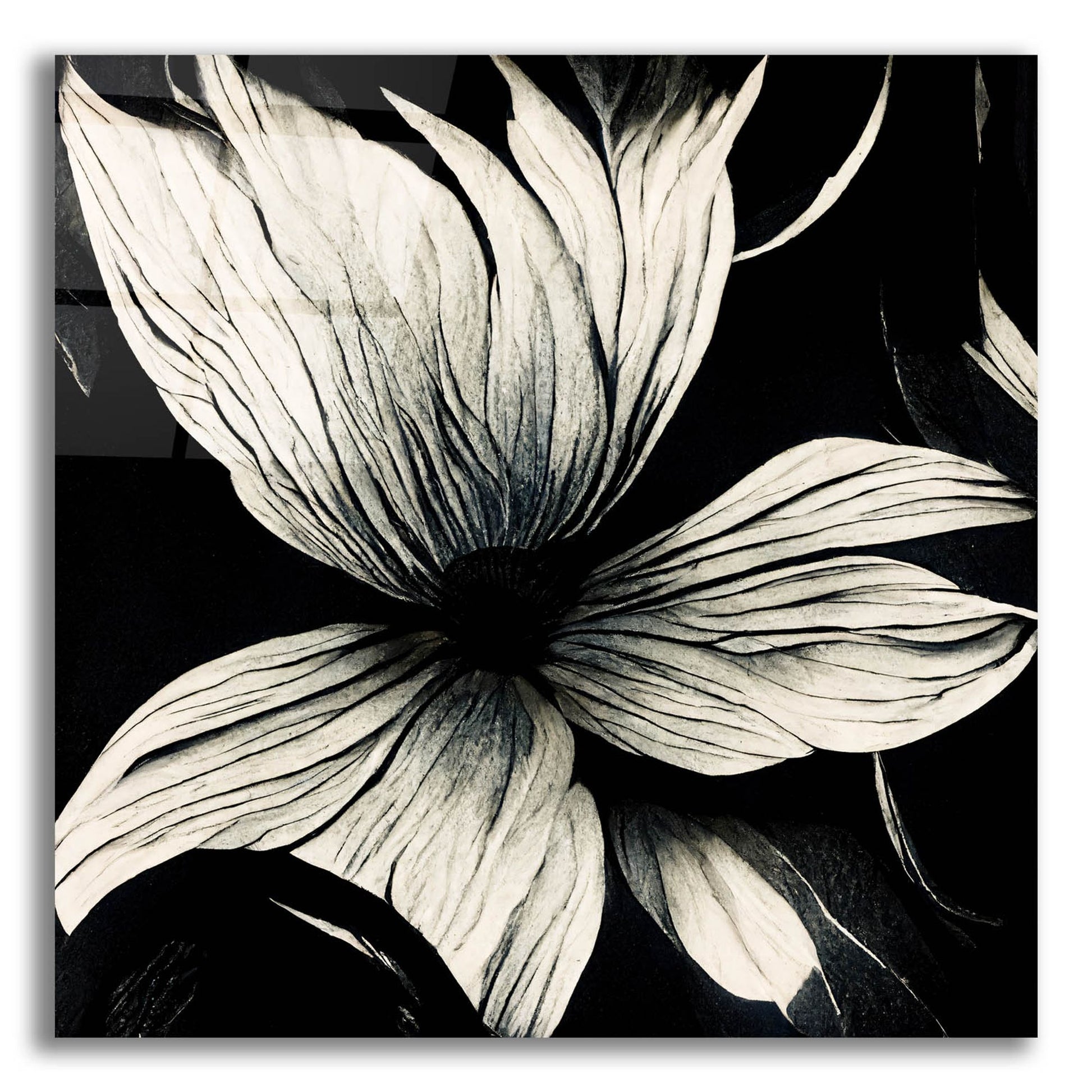 Epic Art 'Flowers Black White 10' by Ray Heere, Acrylic Glass Wall Art,12x12