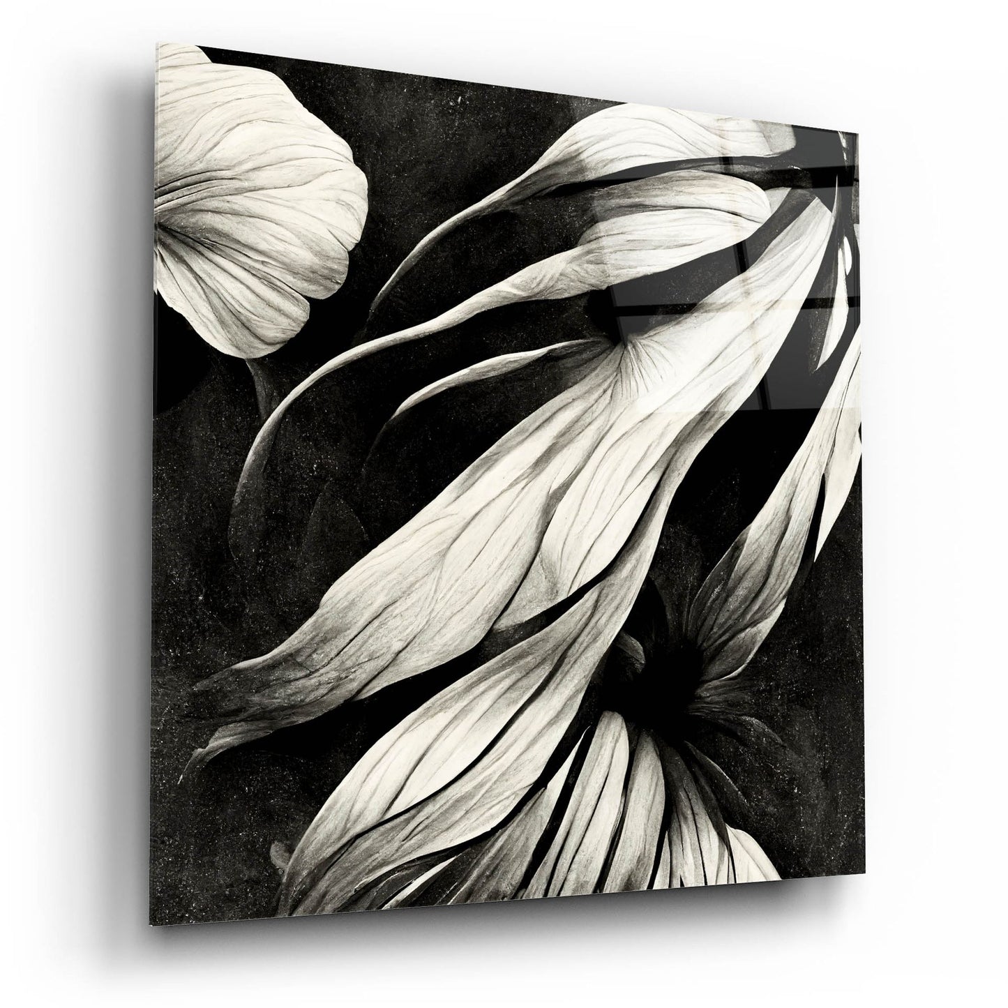 Epic Art 'Flowers Black White 11' by Ray Heere, Acrylic Glass Wall Art,12x12