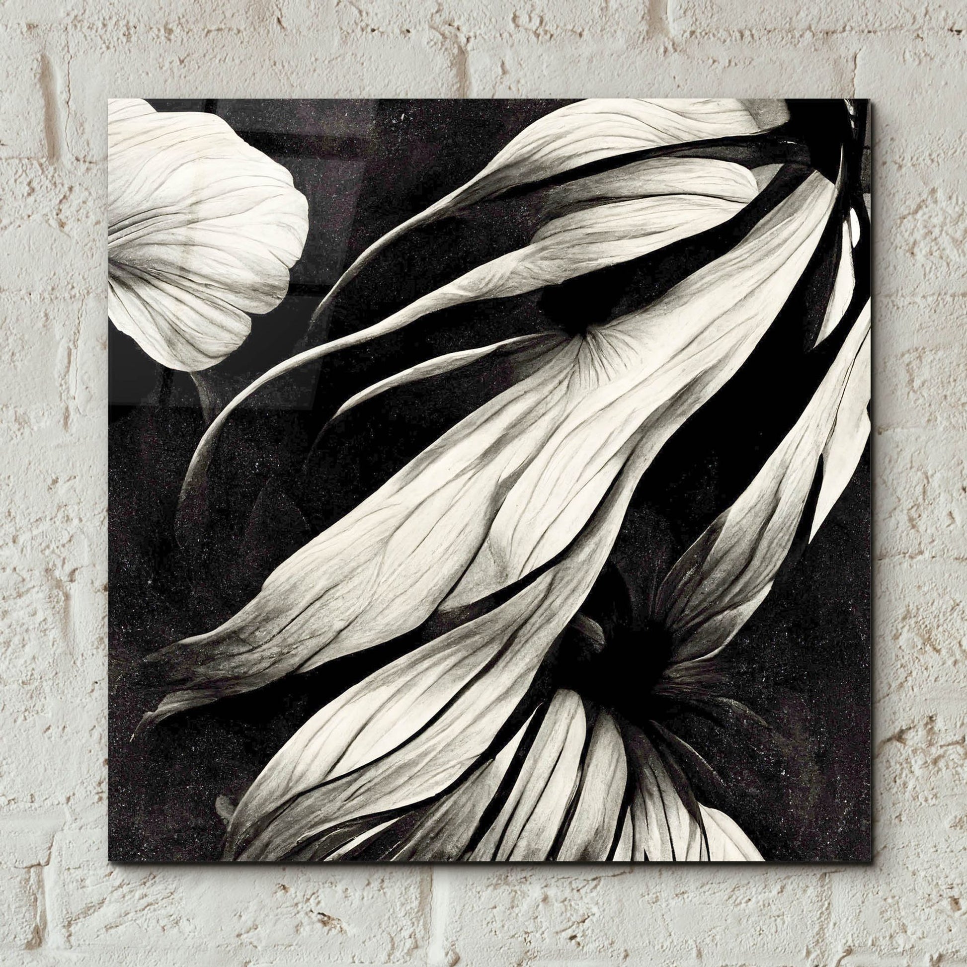 Epic Art 'Flowers Black White 11' by Ray Heere, Acrylic Glass Wall Art,12x12