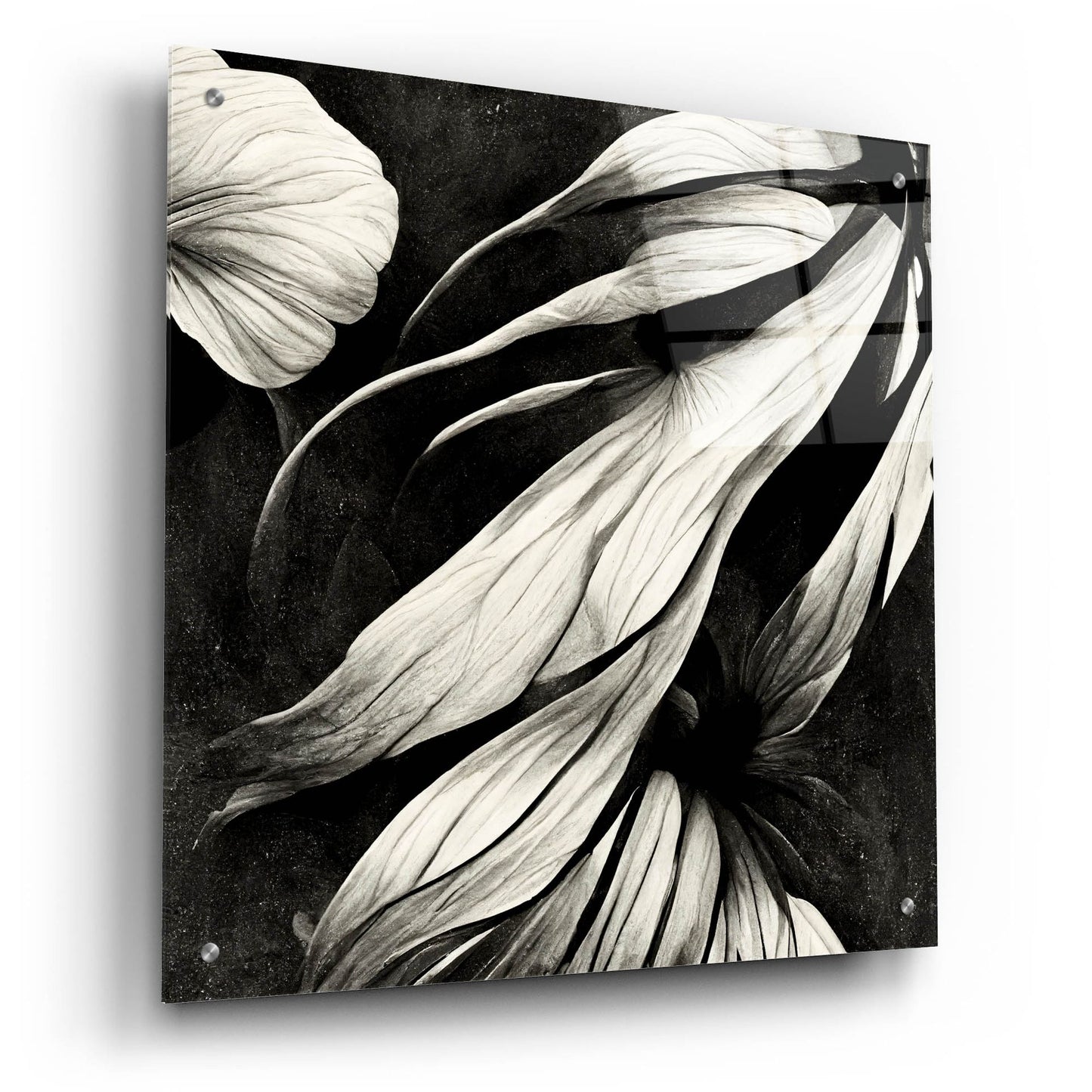 Epic Art 'Flowers Black White 11' by Ray Heere, Acrylic Glass Wall Art,24x24