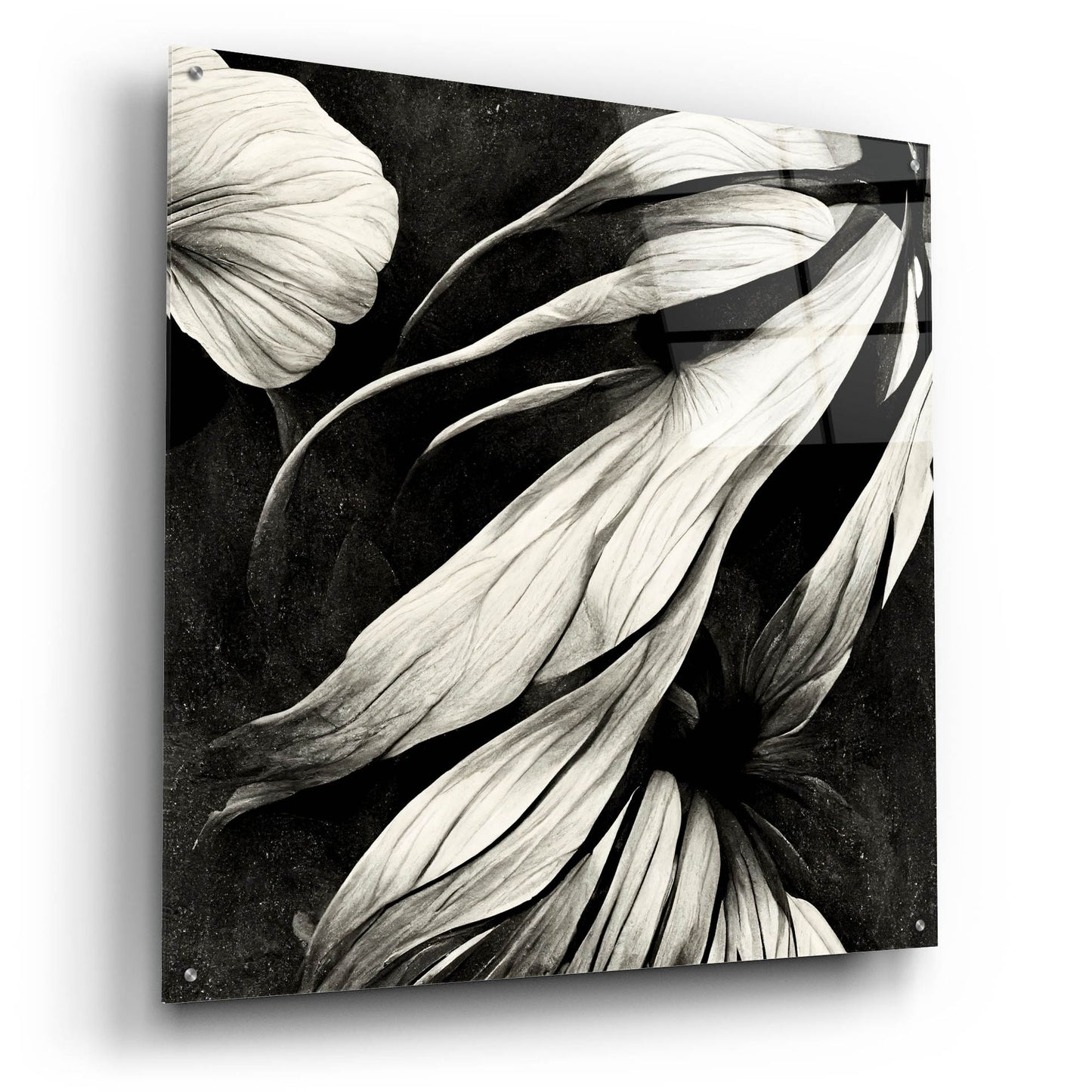 Epic Art 'Flowers Black White 11' by Ray Heere, Acrylic Glass Wall Art,36x36