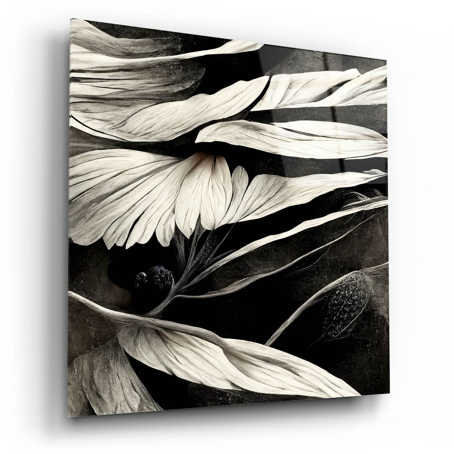 Epic Art 'Flowers Black White 12' by Ray Heere, Acrylic Glass Wall Art,12x12