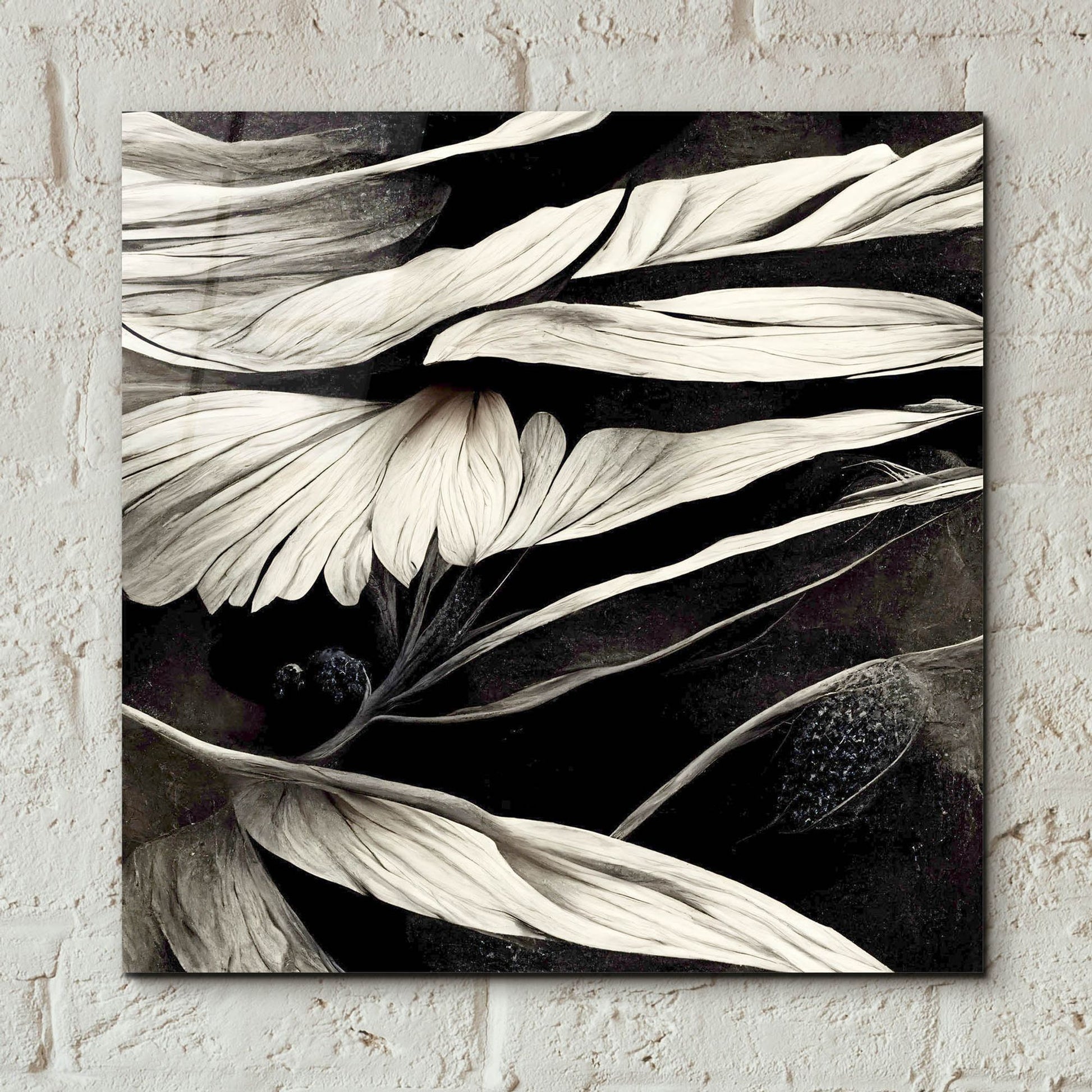 Epic Art 'Flowers Black White 12' by Ray Heere, Acrylic Glass Wall Art,12x12