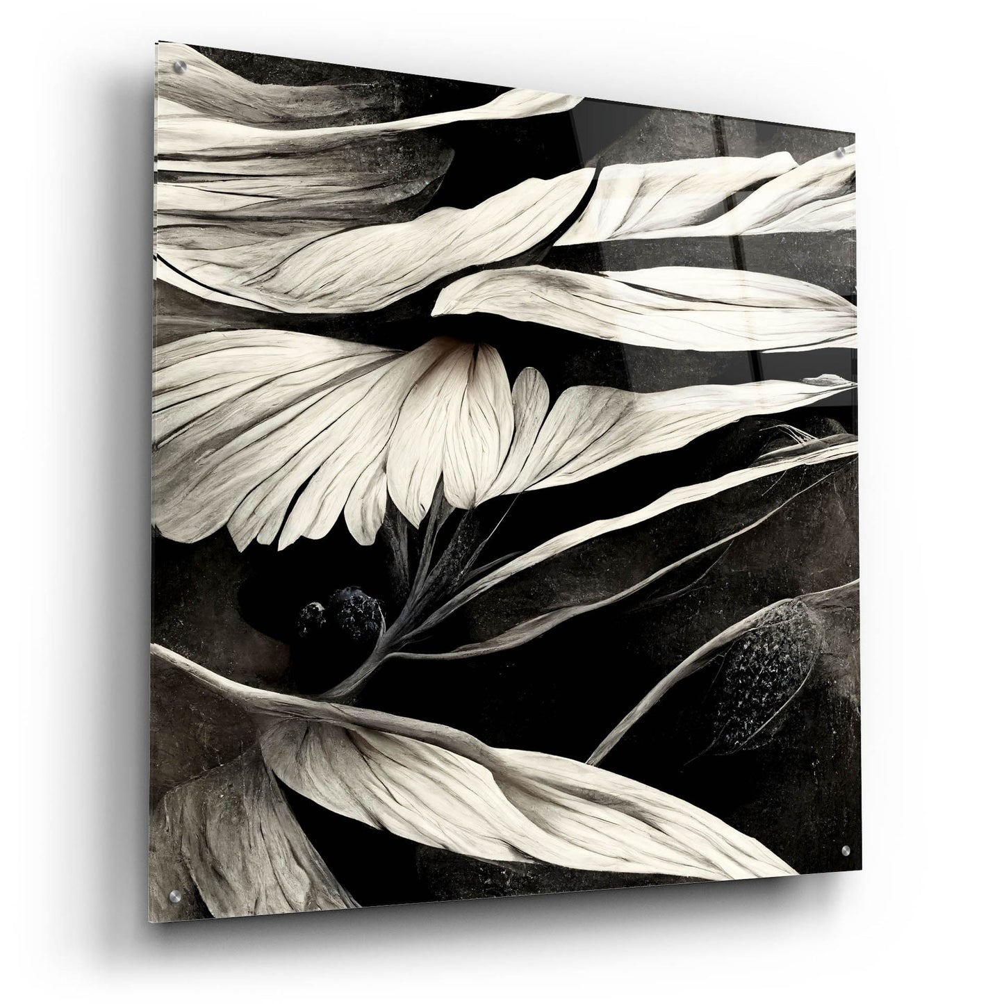 Epic Art 'Flowers Black White 12' by Ray Heere, Acrylic Glass Wall Art,36x36