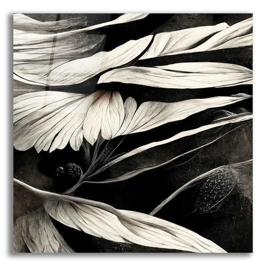 Epic Art 'Flowers Black White 12' by Ray Heere, Acrylic Glass Wall Art