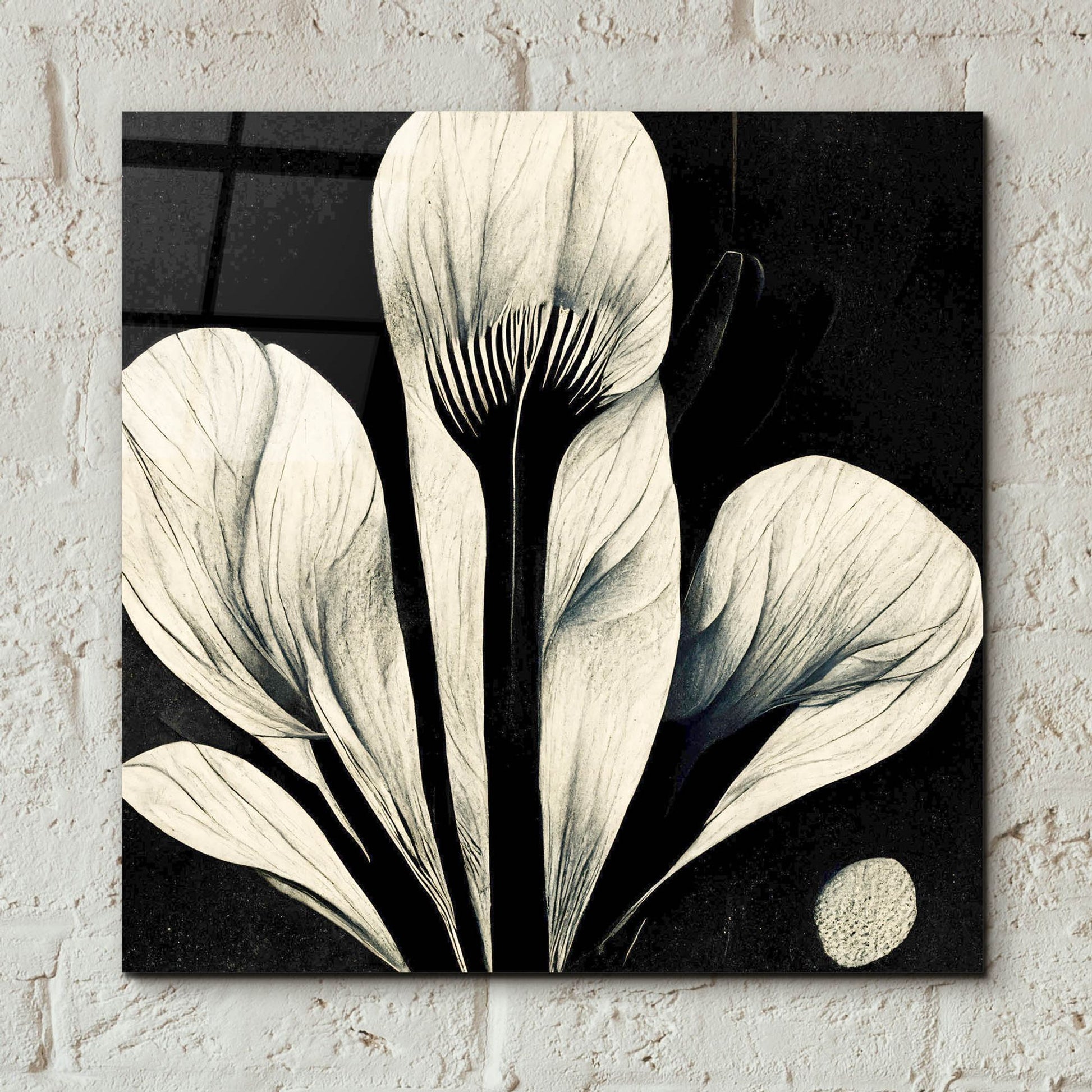 Epic Art 'Flowers Black White 13' by Ray Heere, Acrylic Glass Wall Art,12x12