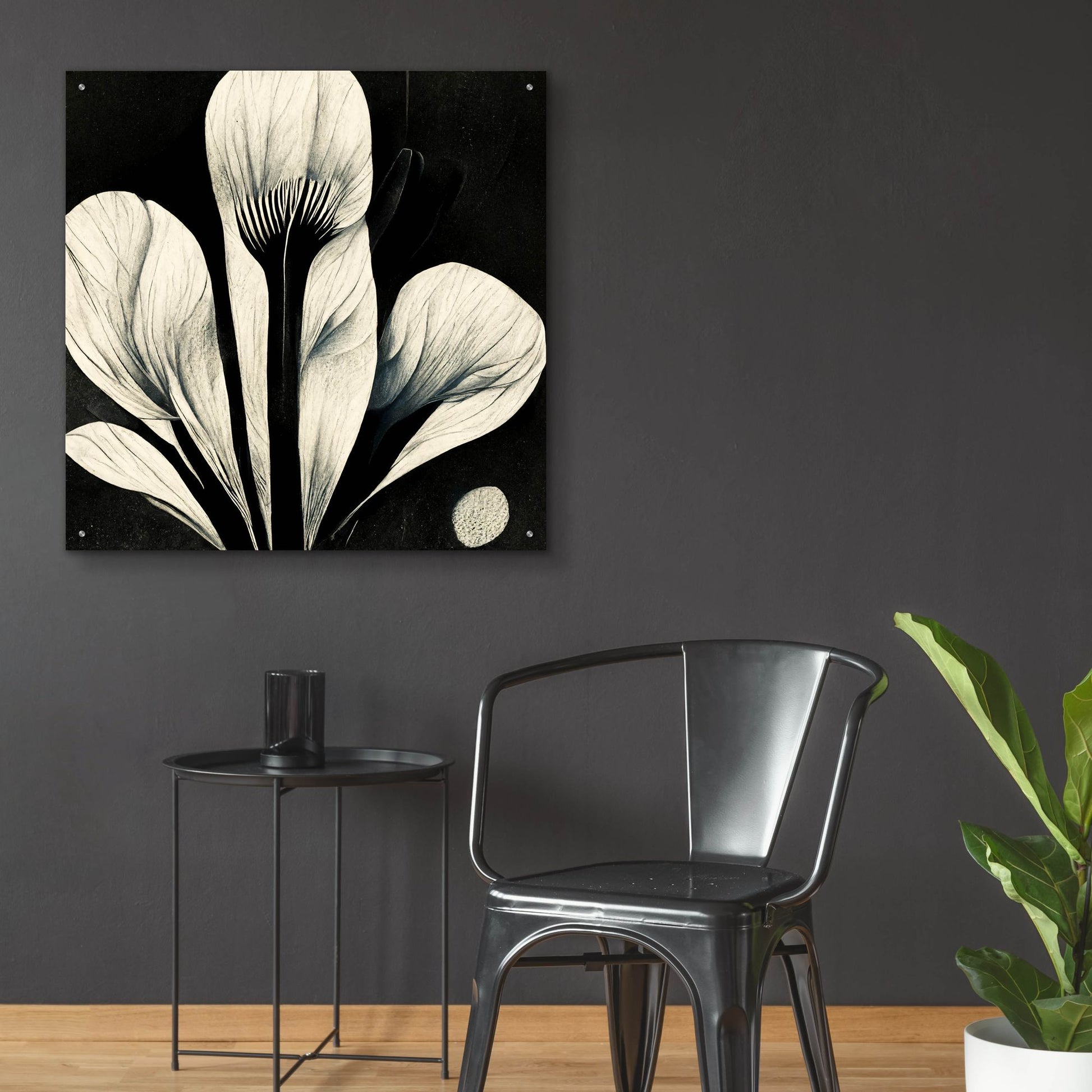 Epic Art 'Flowers Black White 13' by Ray Heere, Acrylic Glass Wall Art,36x36