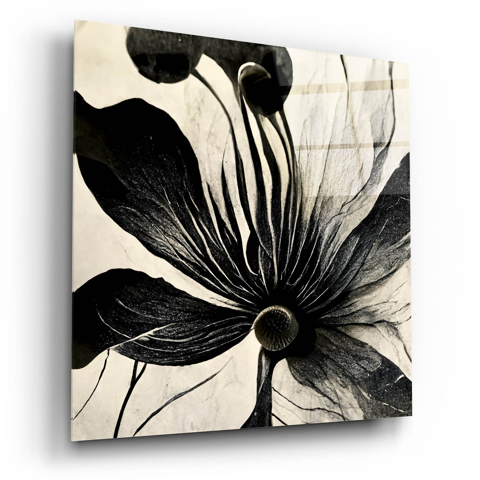 Epic Art 'Flowers Black White 14' by Ray Heere, Acrylic Glass Wall Art,12x12