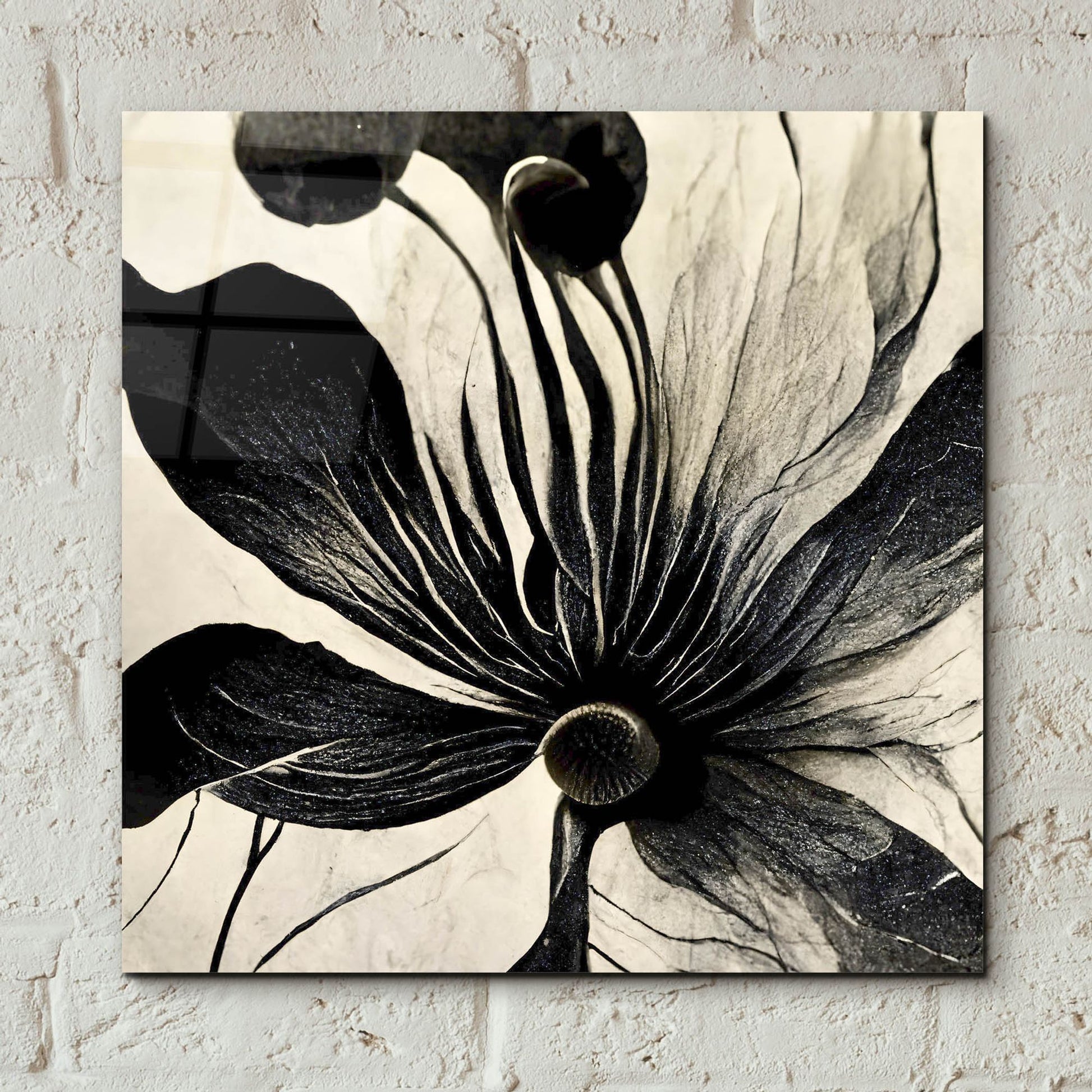 Epic Art 'Flowers Black White 14' by Ray Heere, Acrylic Glass Wall Art,12x12