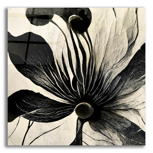 Epic Art 'Flowers Black White 14' by Ray Heere, Acrylic Glass Wall Art