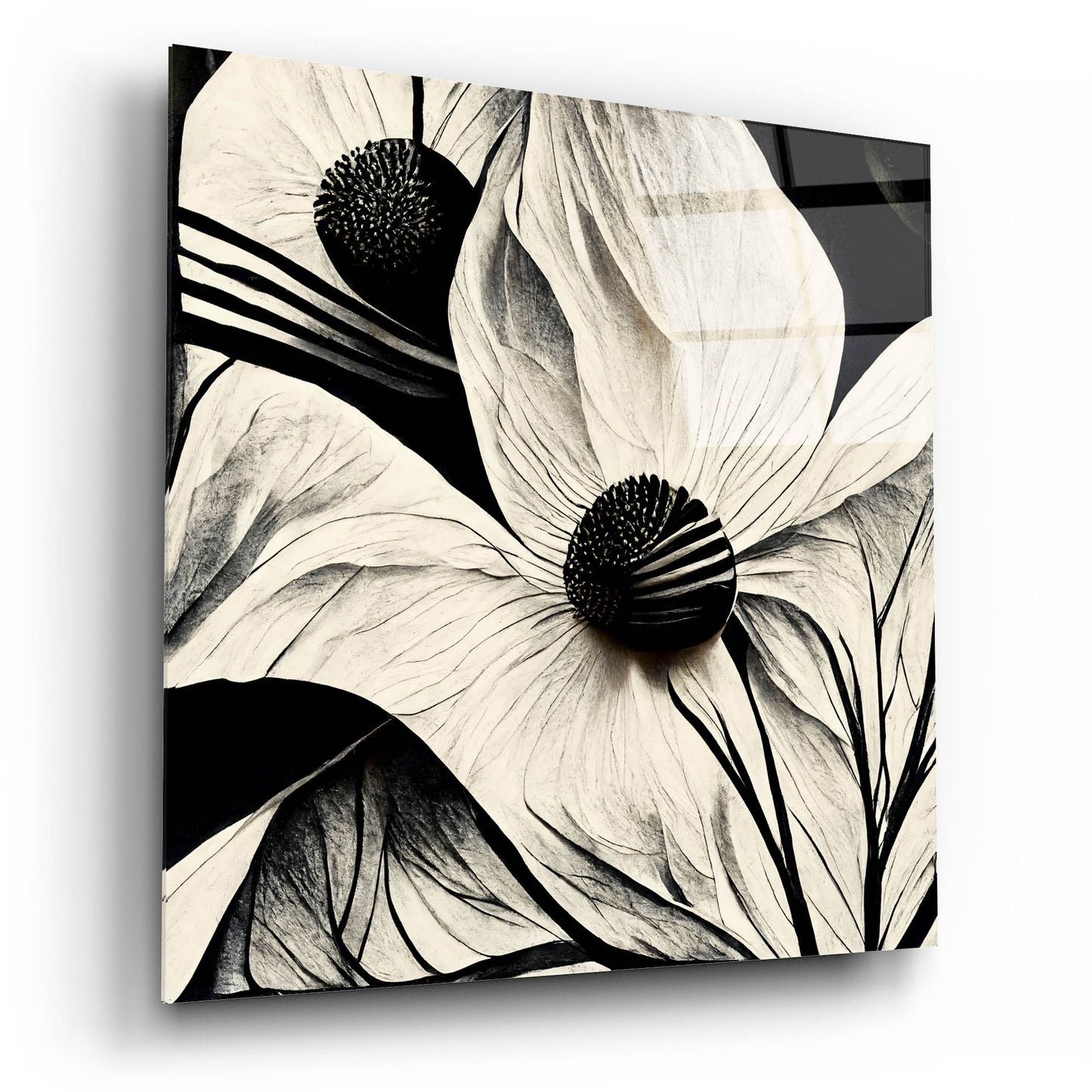 Epic Art 'Flowers Black White 15' by Ray Heere, Acrylic Glass Wall Art,12x12