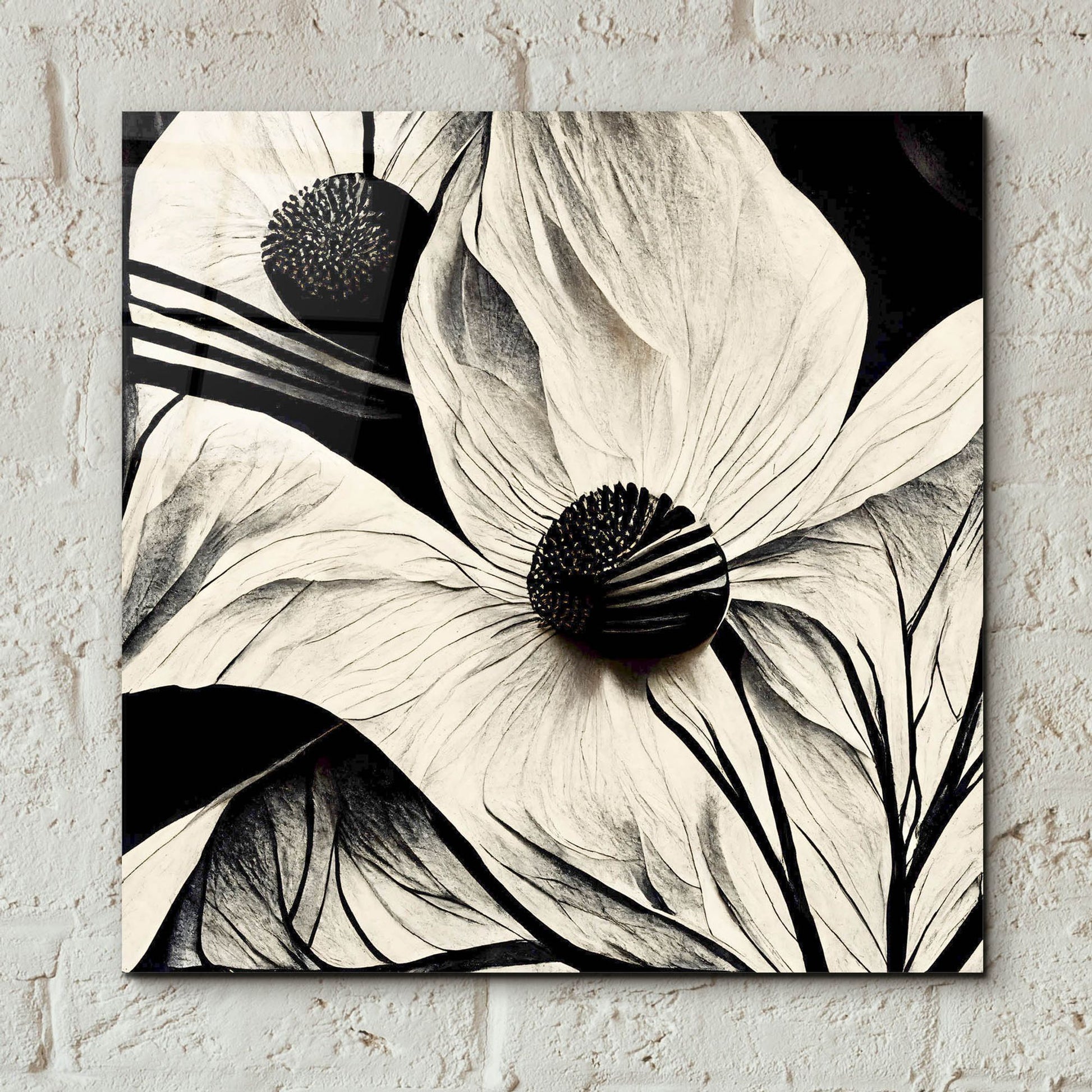 Epic Art 'Flowers Black White 15' by Ray Heere, Acrylic Glass Wall Art,12x12