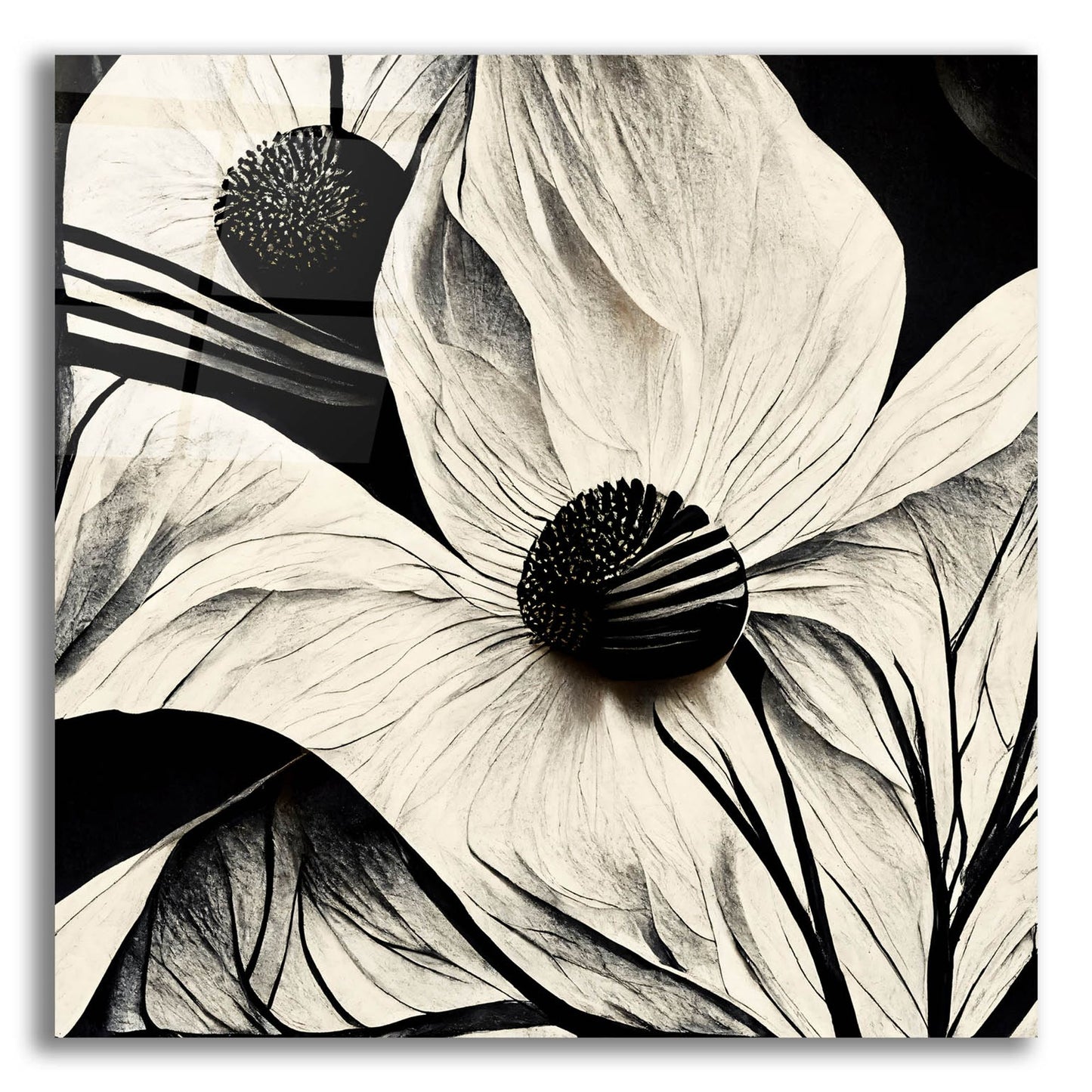 Epic Art 'Flowers Black White 15' by Ray Heere, Acrylic Glass Wall Art,12x12