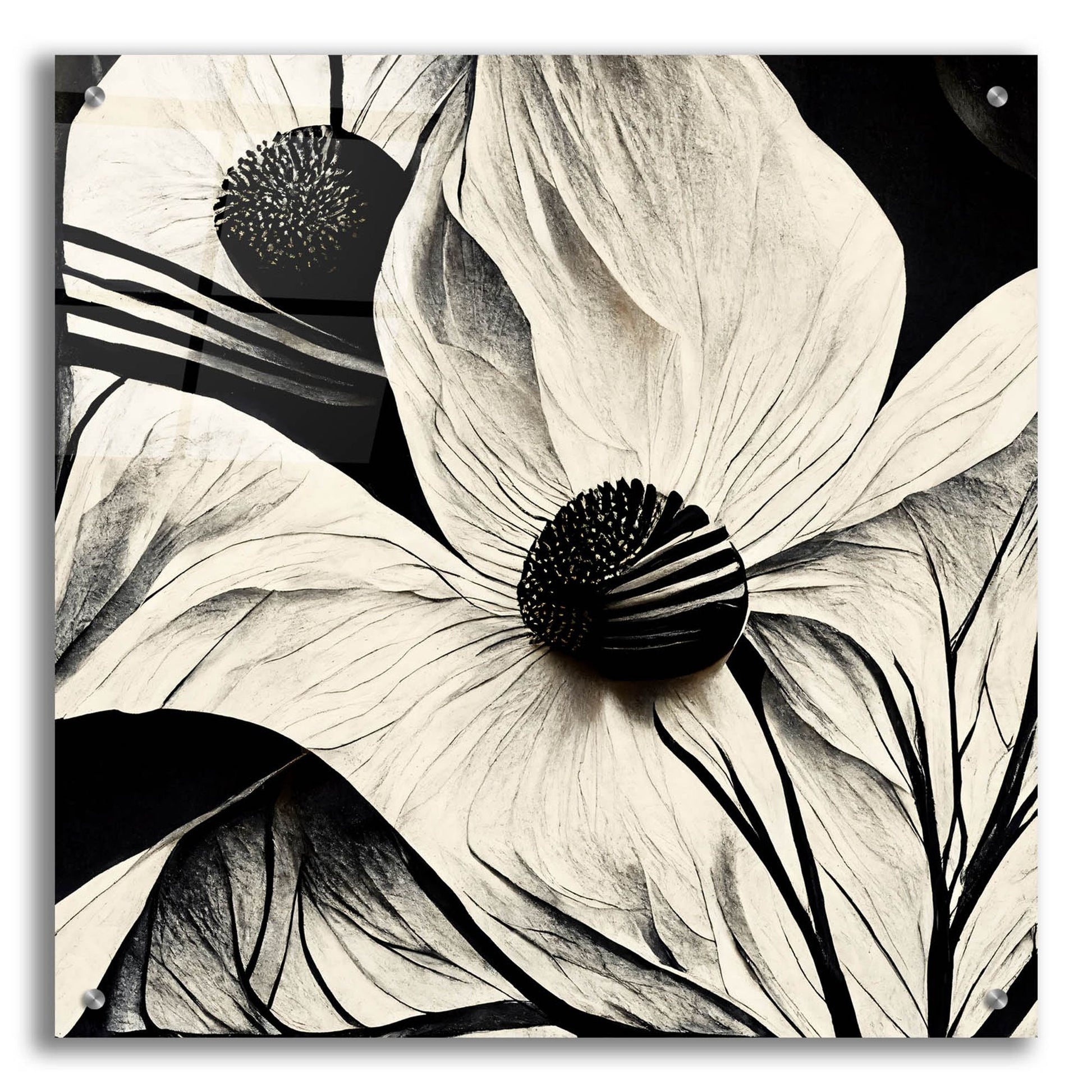 Epic Art 'Flowers Black White 15' by Ray Heere, Acrylic Glass Wall Art,24x24