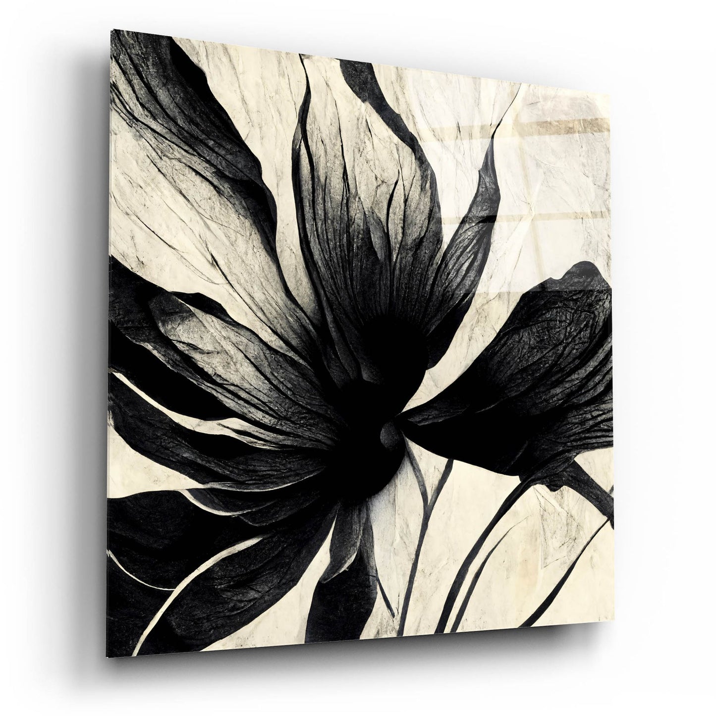 Epic Art 'Flowers Black White 16' by Ray Heere, Acrylic Glass Wall Art,12x12