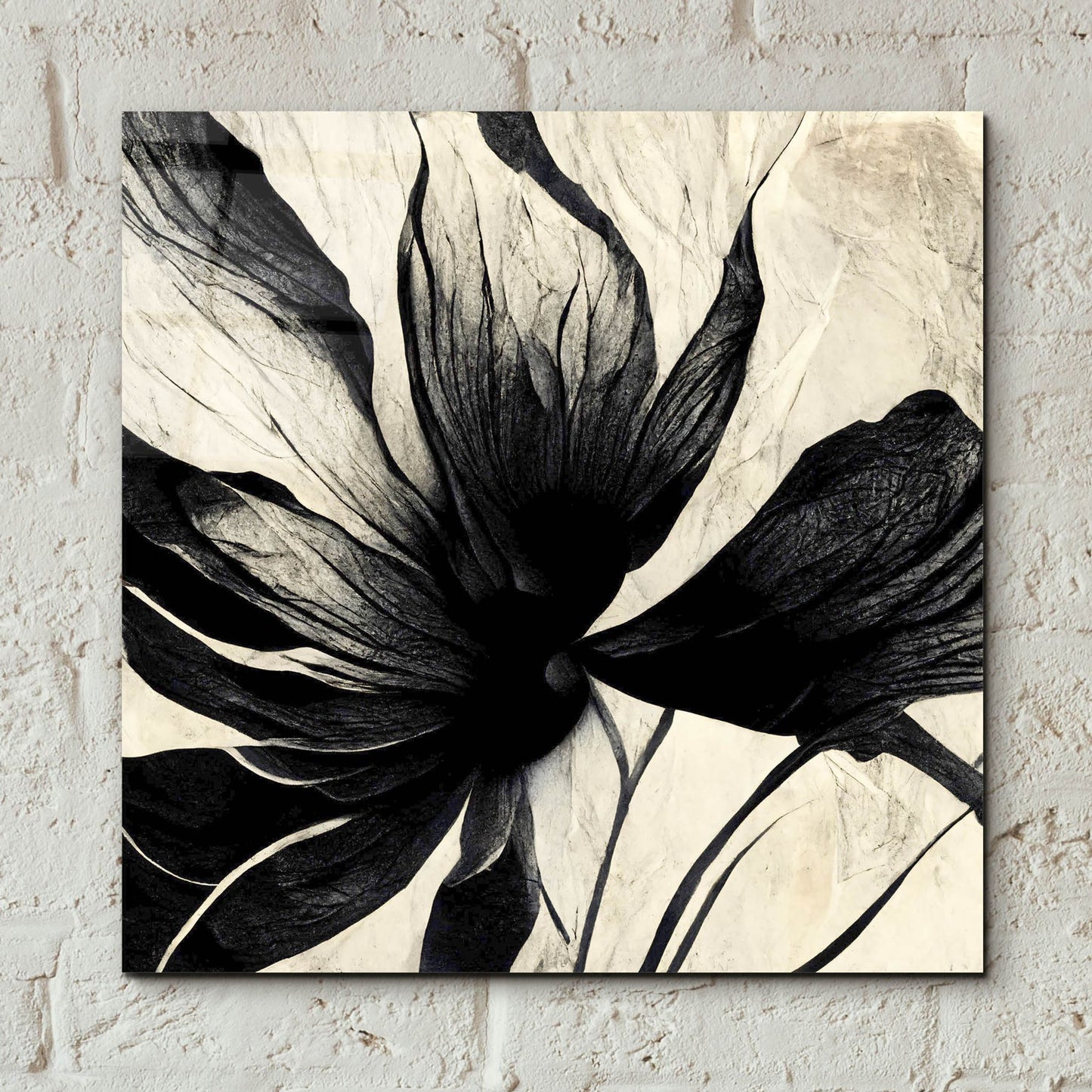 Epic Art 'Flowers Black White 16' by Ray Heere, Acrylic Glass Wall Art,12x12