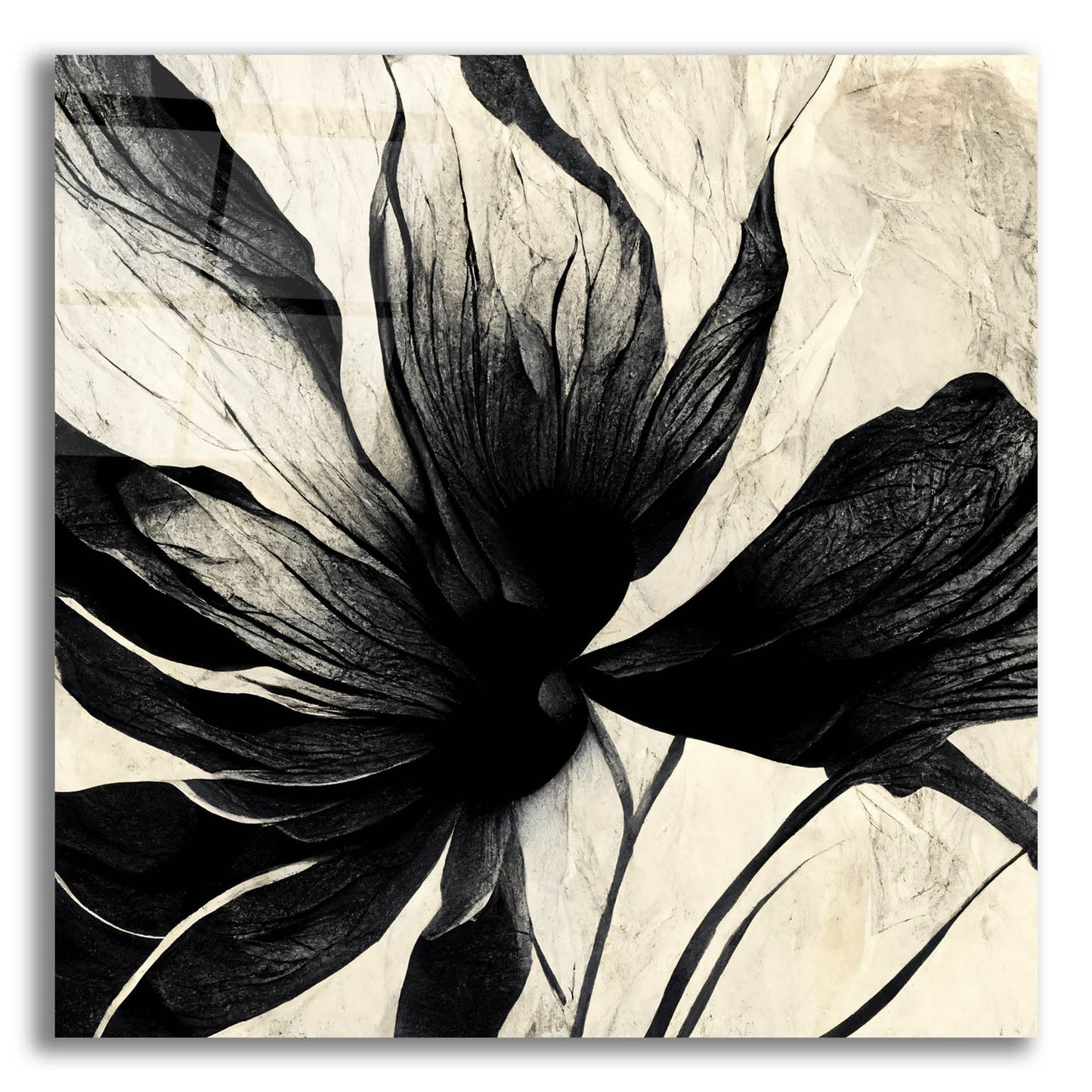 Epic Art 'Flowers Black White 16' by Ray Heere, Acrylic Glass Wall Art,12x12