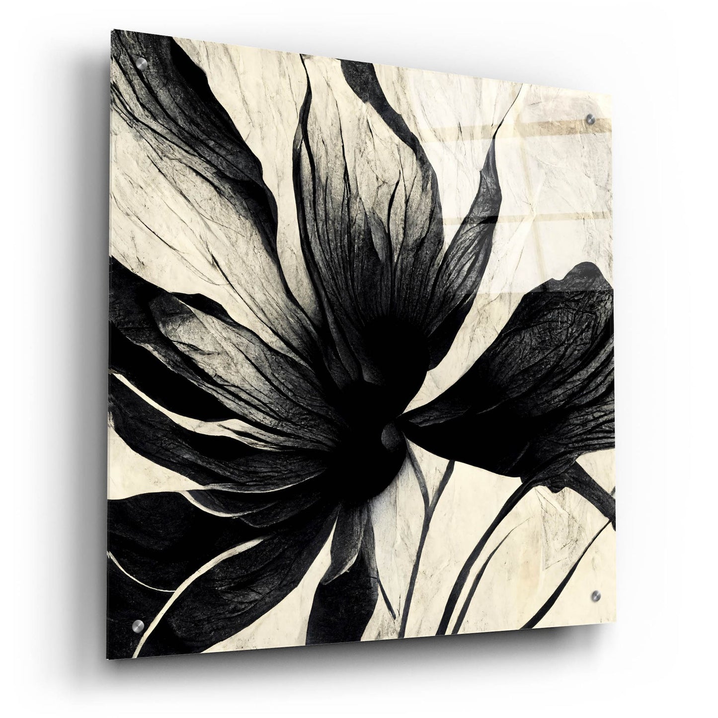 Epic Art 'Flowers Black White 16' by Ray Heere, Acrylic Glass Wall Art,24x24