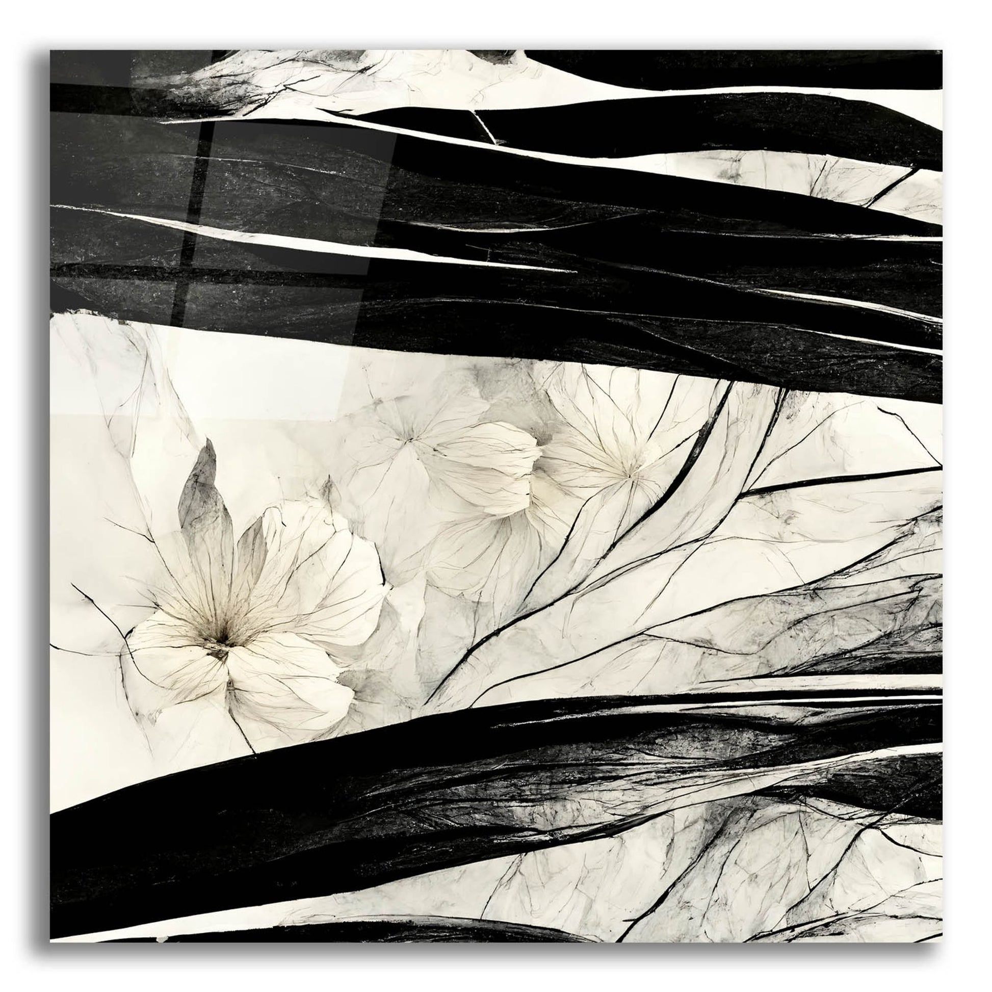 Epic Art 'Flowers Black White 17' by Ray Heere, Acrylic Glass Wall Art,12x12