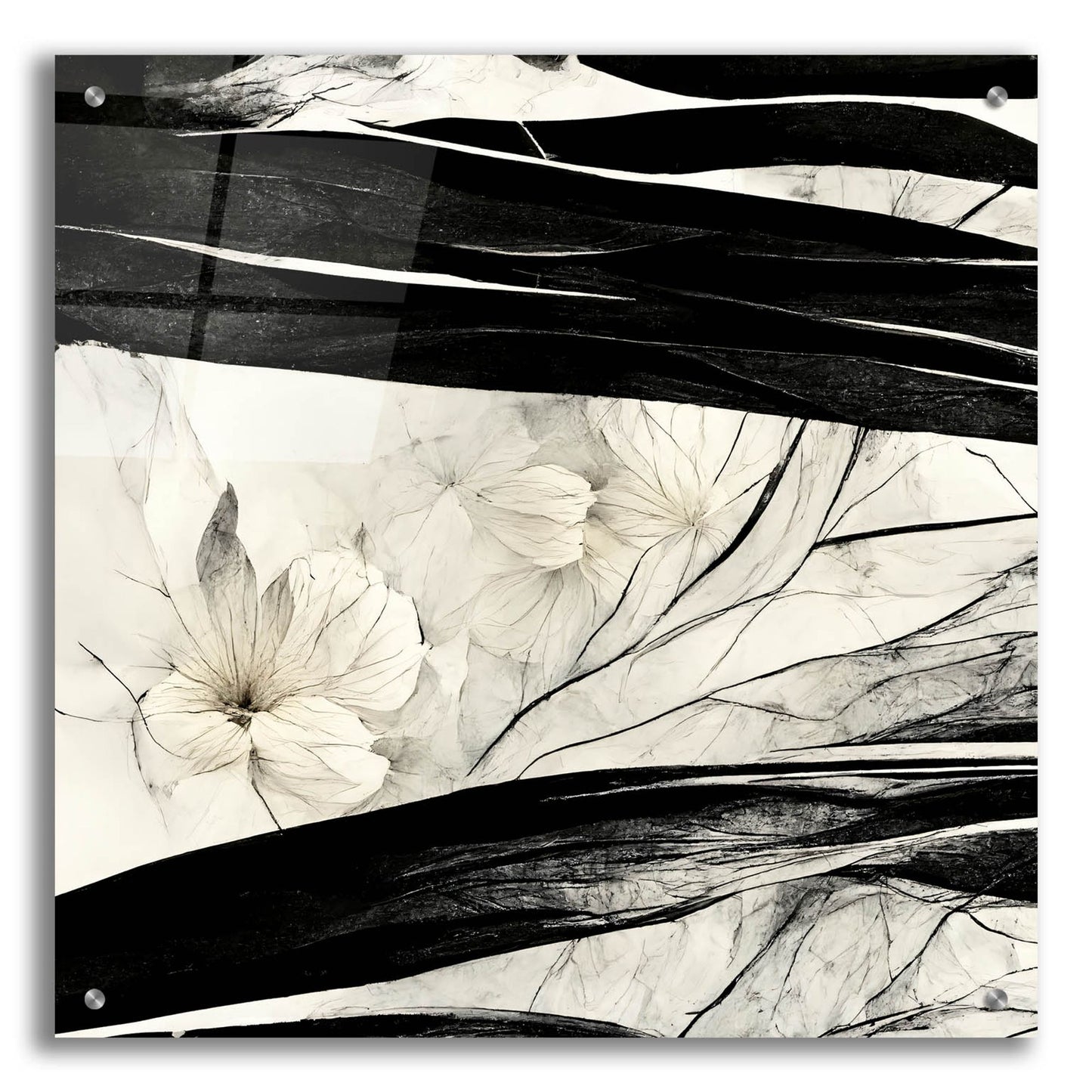 Epic Art 'Flowers Black White 17' by Ray Heere, Acrylic Glass Wall Art,24x24