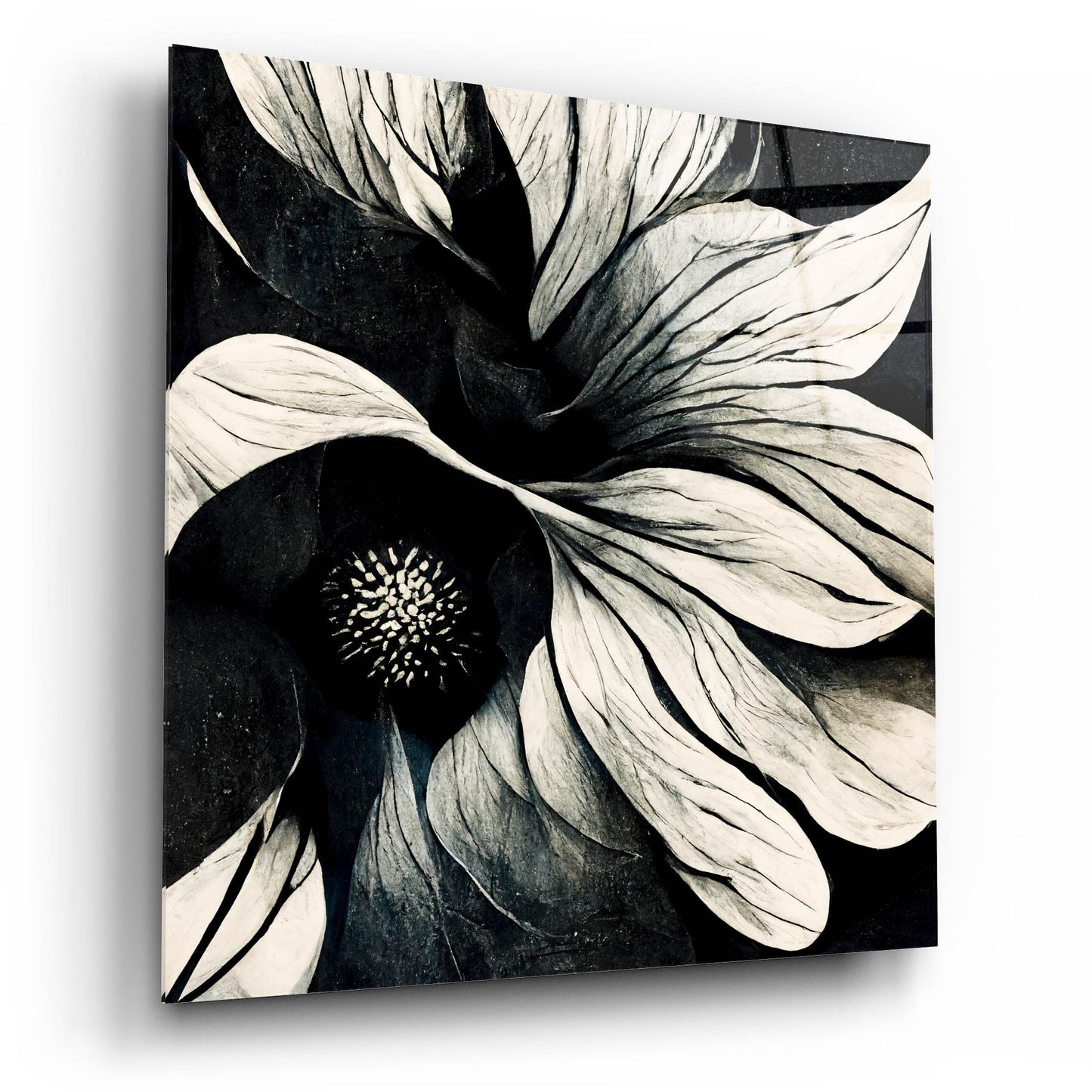 Epic Art 'Flowers Black White 18' by Ray Heere, Acrylic Glass Wall Art,12x12