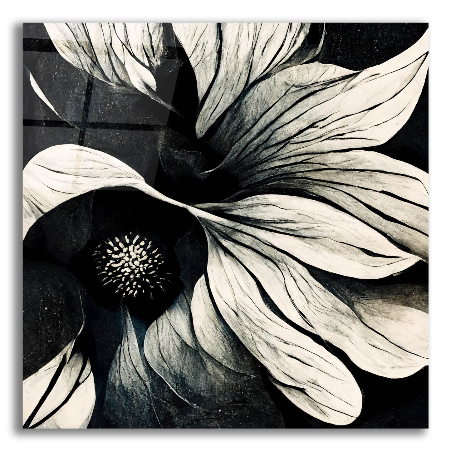 Epic Art 'Flowers Black White 18' by Ray Heere, Acrylic Glass Wall Art,12x12