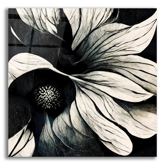 Epic Art 'Flowers Black White 18' by Ray Heere, Acrylic Glass Wall Art