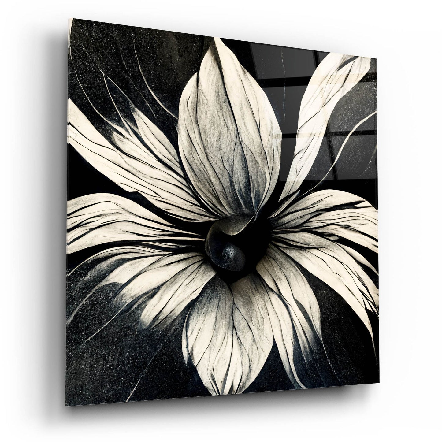 Epic Art 'Flowers Black White 19' by Ray Heere, Acrylic Glass Wall Art,12x12