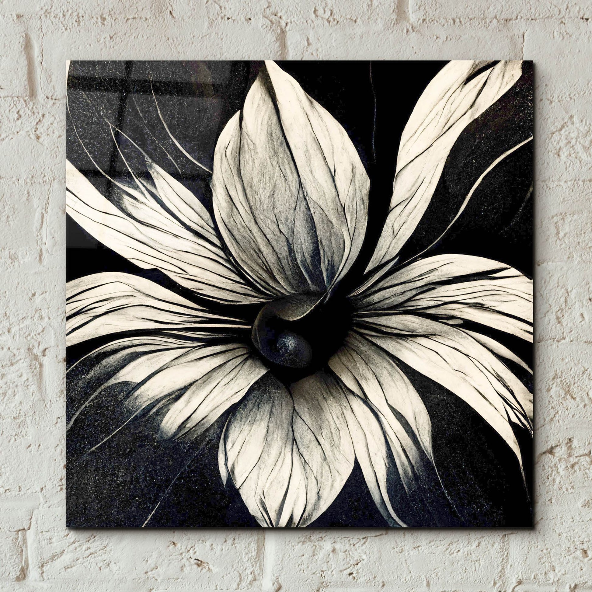 Epic Art 'Flowers Black White 19' by Ray Heere, Acrylic Glass Wall Art,12x12