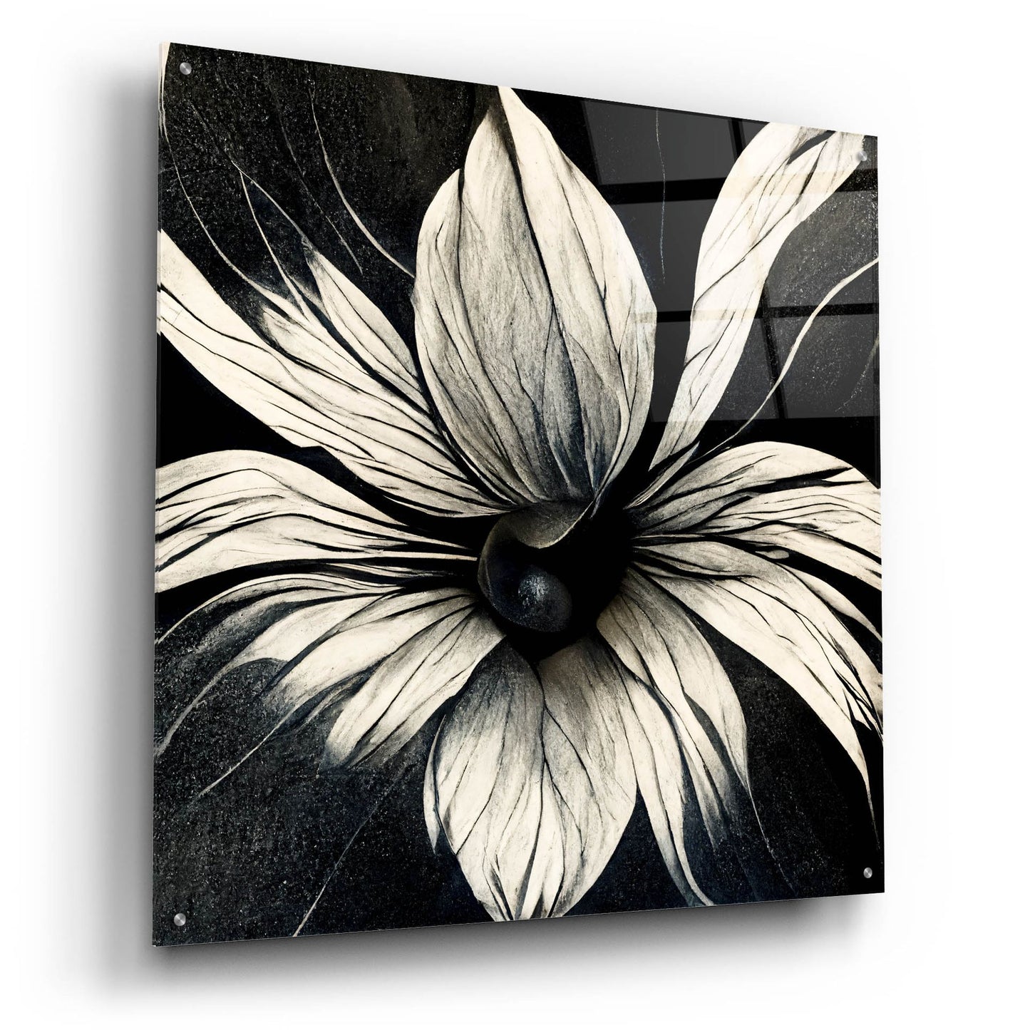 Epic Art 'Flowers Black White 19' by Ray Heere, Acrylic Glass Wall Art,36x36