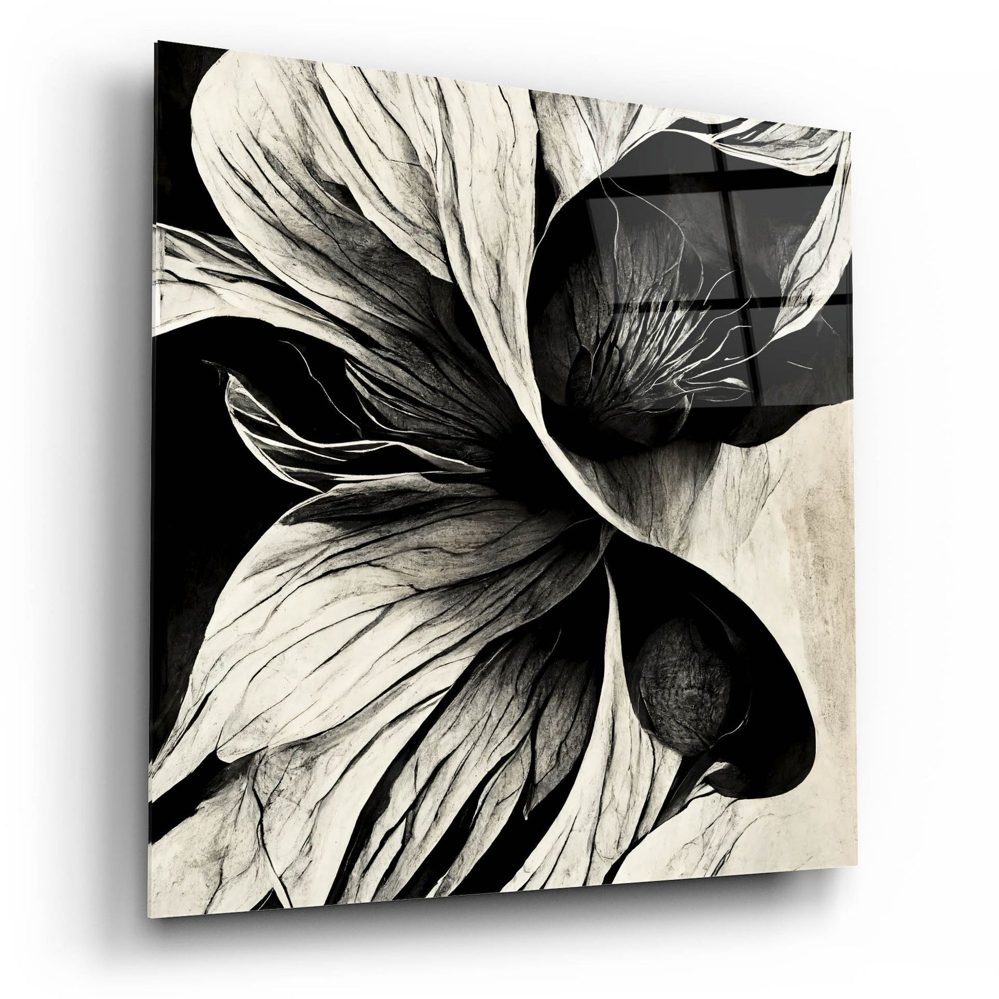 Epic Art 'Flowers Black White 20' by Ray Heere, Acrylic Glass Wall Art,12x12