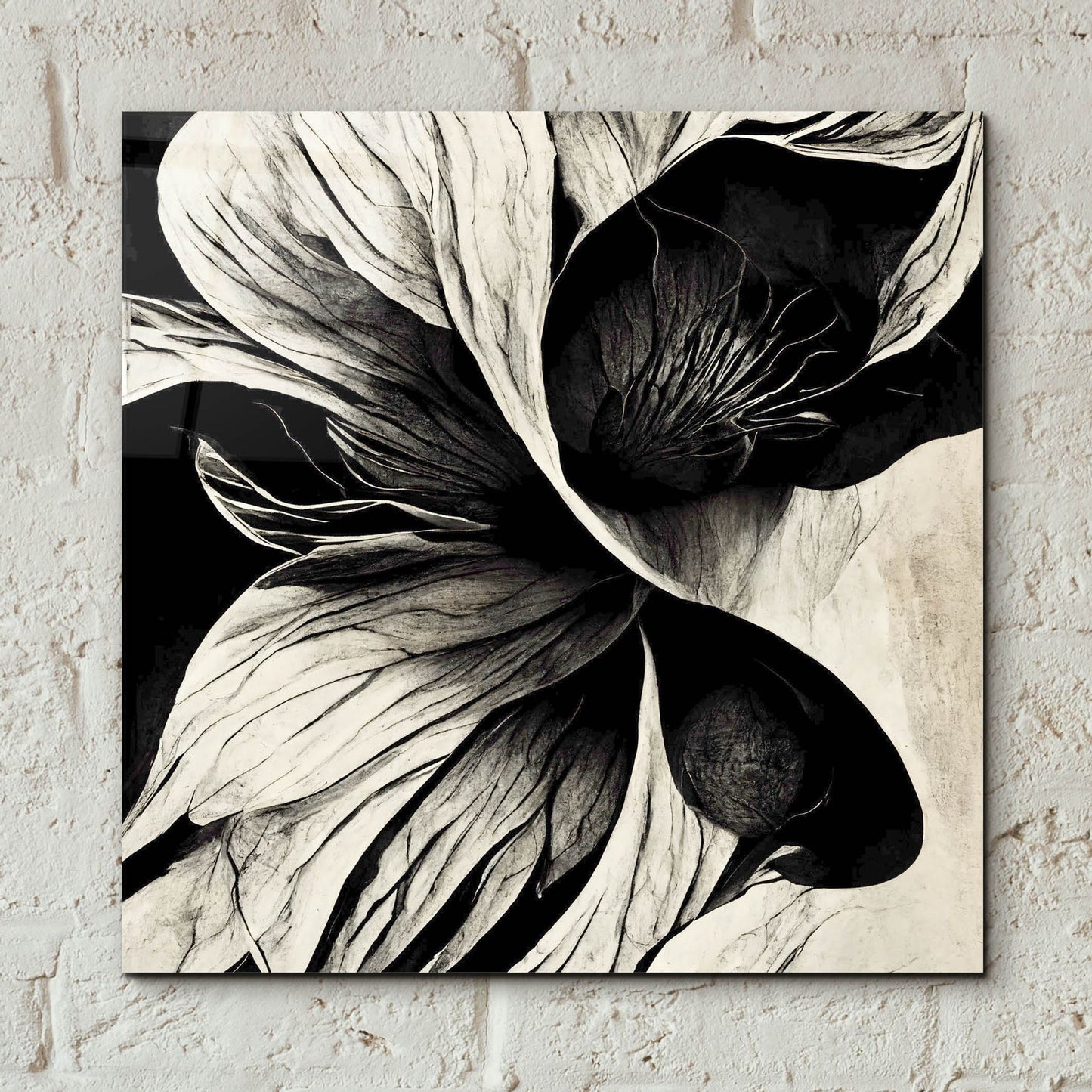 Epic Art 'Flowers Black White 20' by Ray Heere, Acrylic Glass Wall Art,12x12