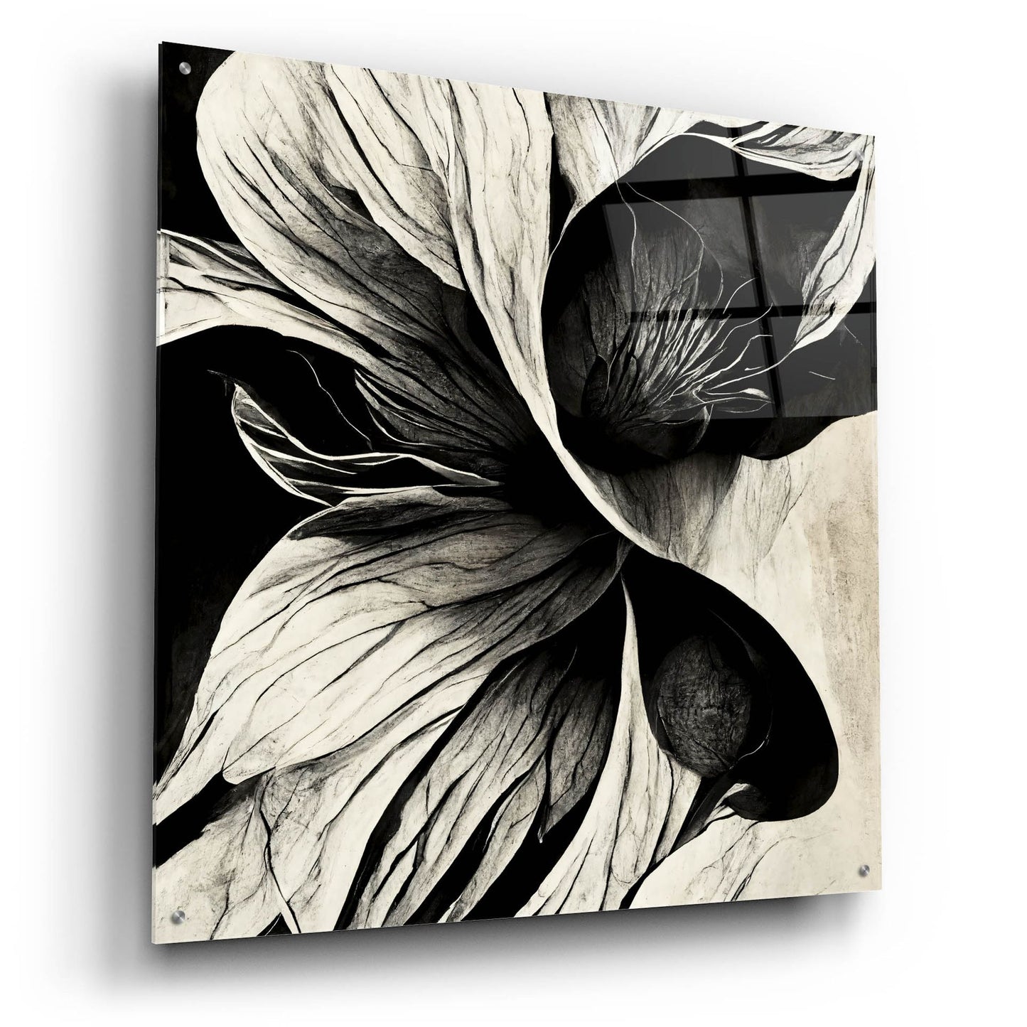 Epic Art 'Flowers Black White 20' by Ray Heere, Acrylic Glass Wall Art,36x36