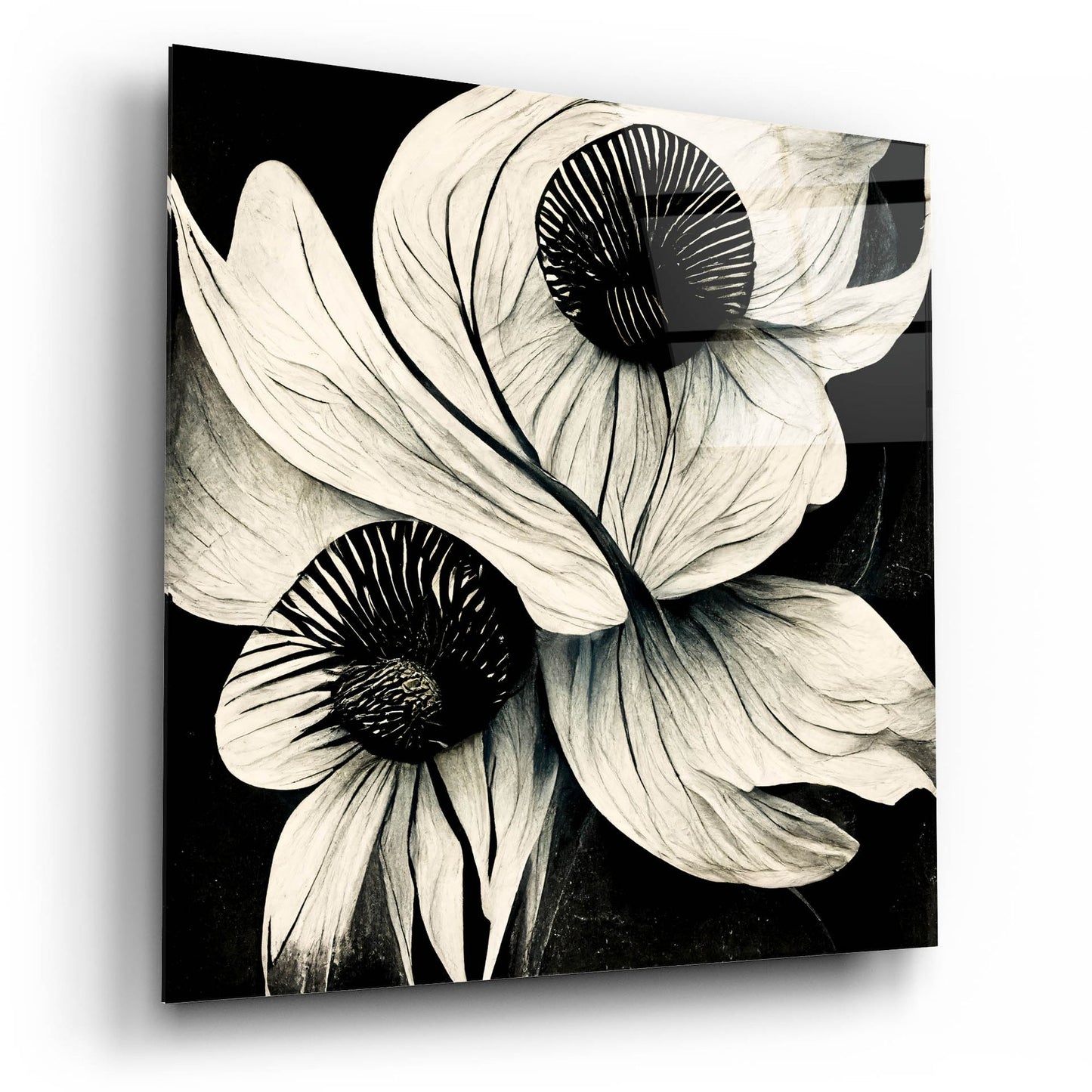 Epic Art 'Flowers Black White 21' by Ray Heere, Acrylic Glass Wall Art,12x12