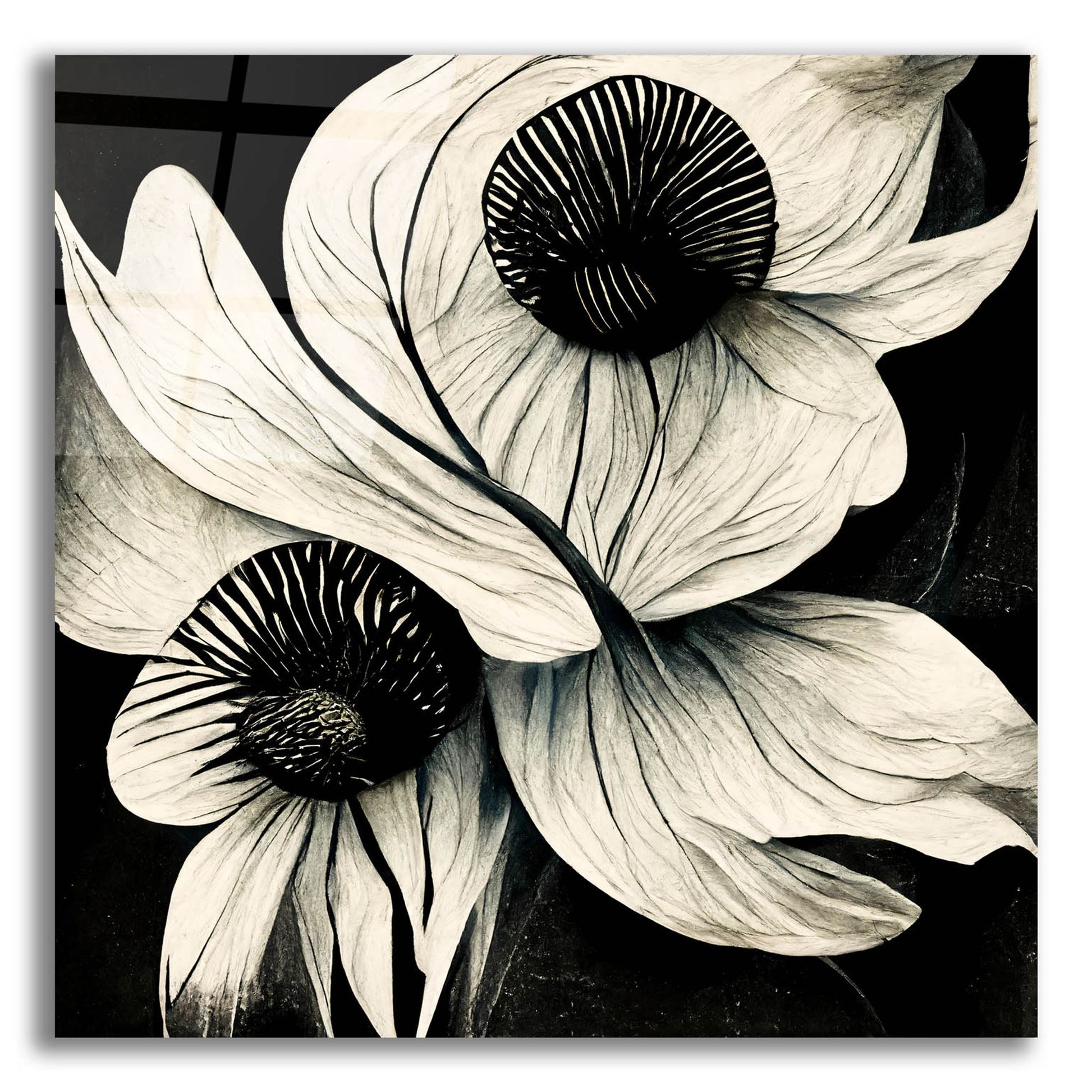 Epic Art 'Flowers Black White 21' by Ray Heere, Acrylic Glass Wall Art,12x12