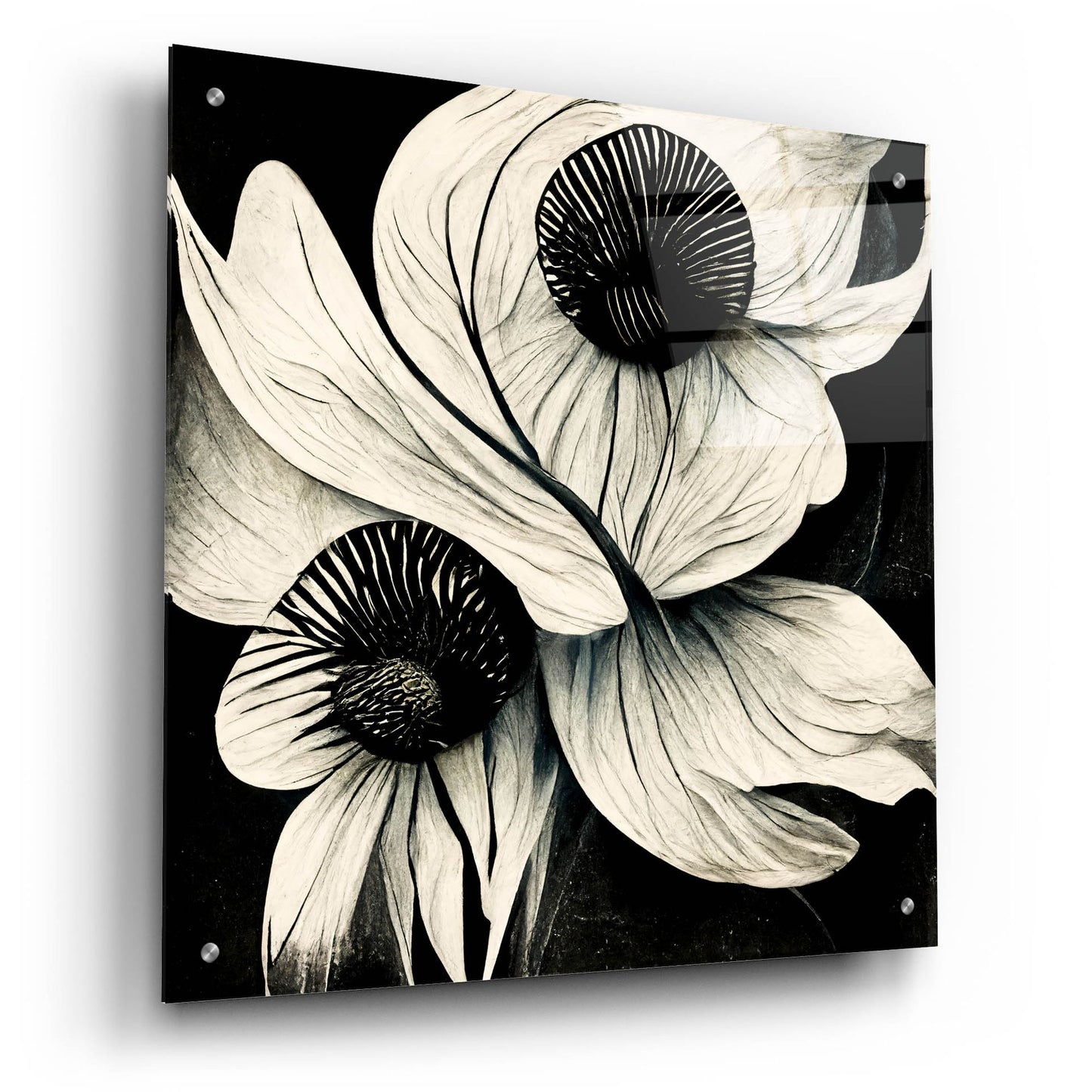 Epic Art 'Flowers Black White 21' by Ray Heere, Acrylic Glass Wall Art,24x24