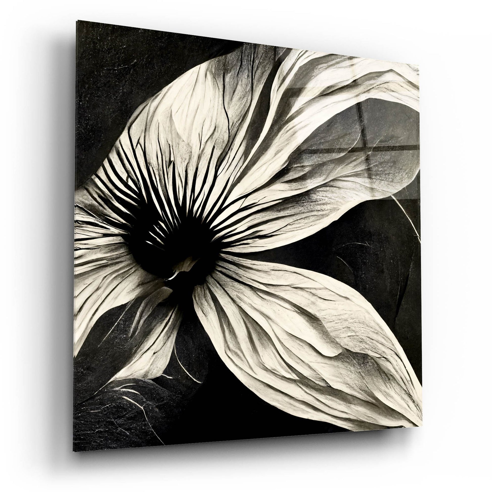 Epic Art 'Flowers Black White 22' by Ray Heere, Acrylic Glass Wall Art,12x12