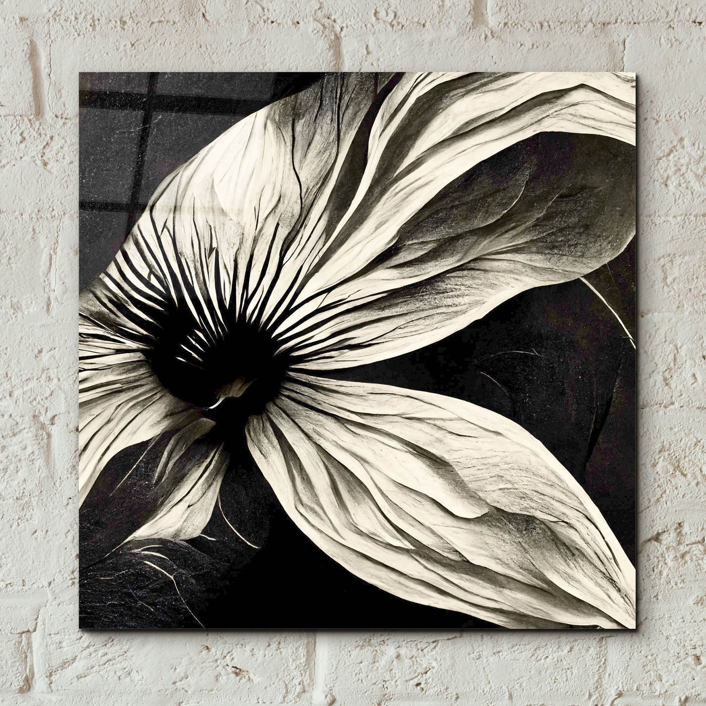 Epic Art 'Flowers Black White 22' by Ray Heere, Acrylic Glass Wall Art,12x12